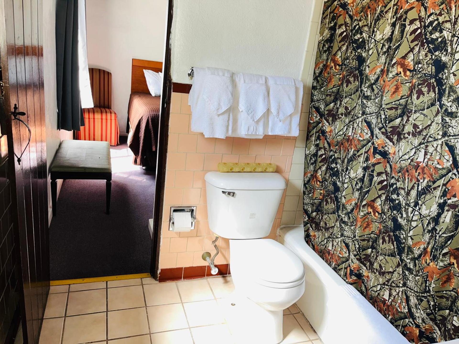 Cottonwood Court Motel photo 63