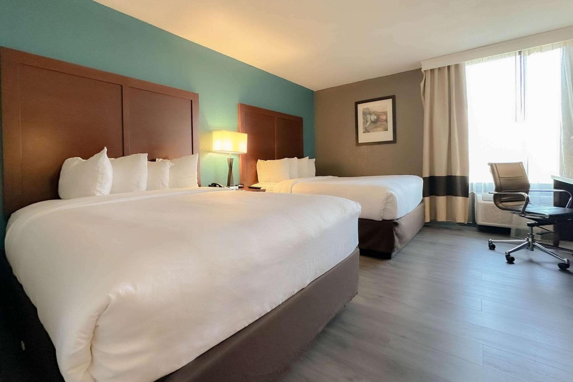 The Adventure Hotel by the Parks photo 25