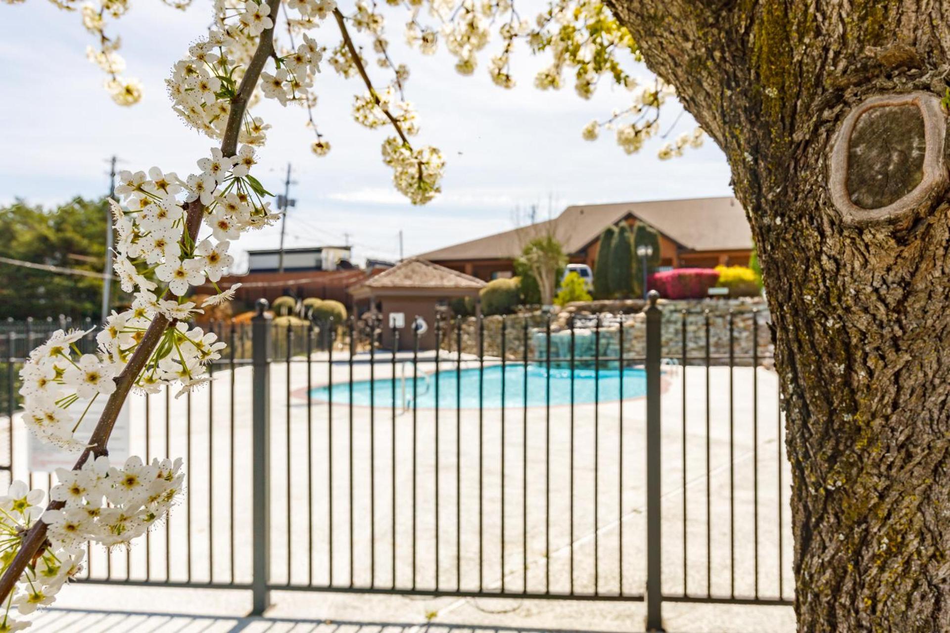 Gadsden Inn and Suites photo 9