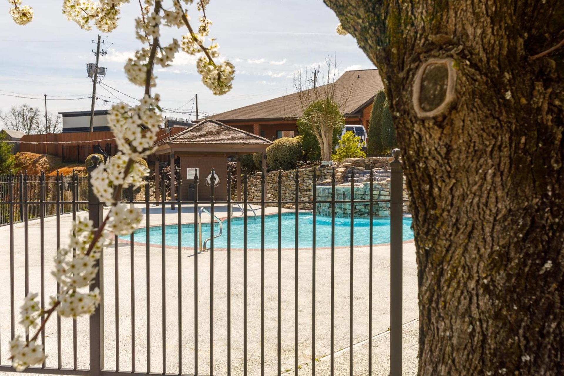 Gadsden Inn and Suites photo 13