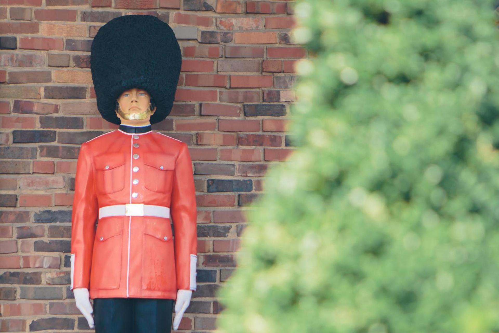 The Cheshire photo 7