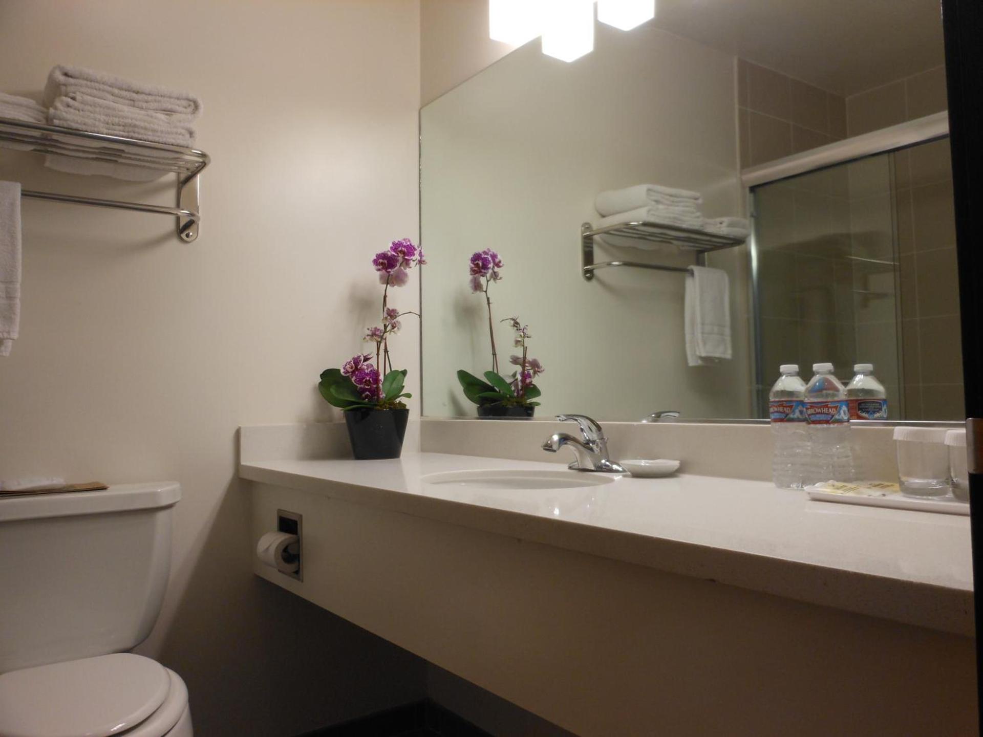 Grant Plaza Hotel photo 51