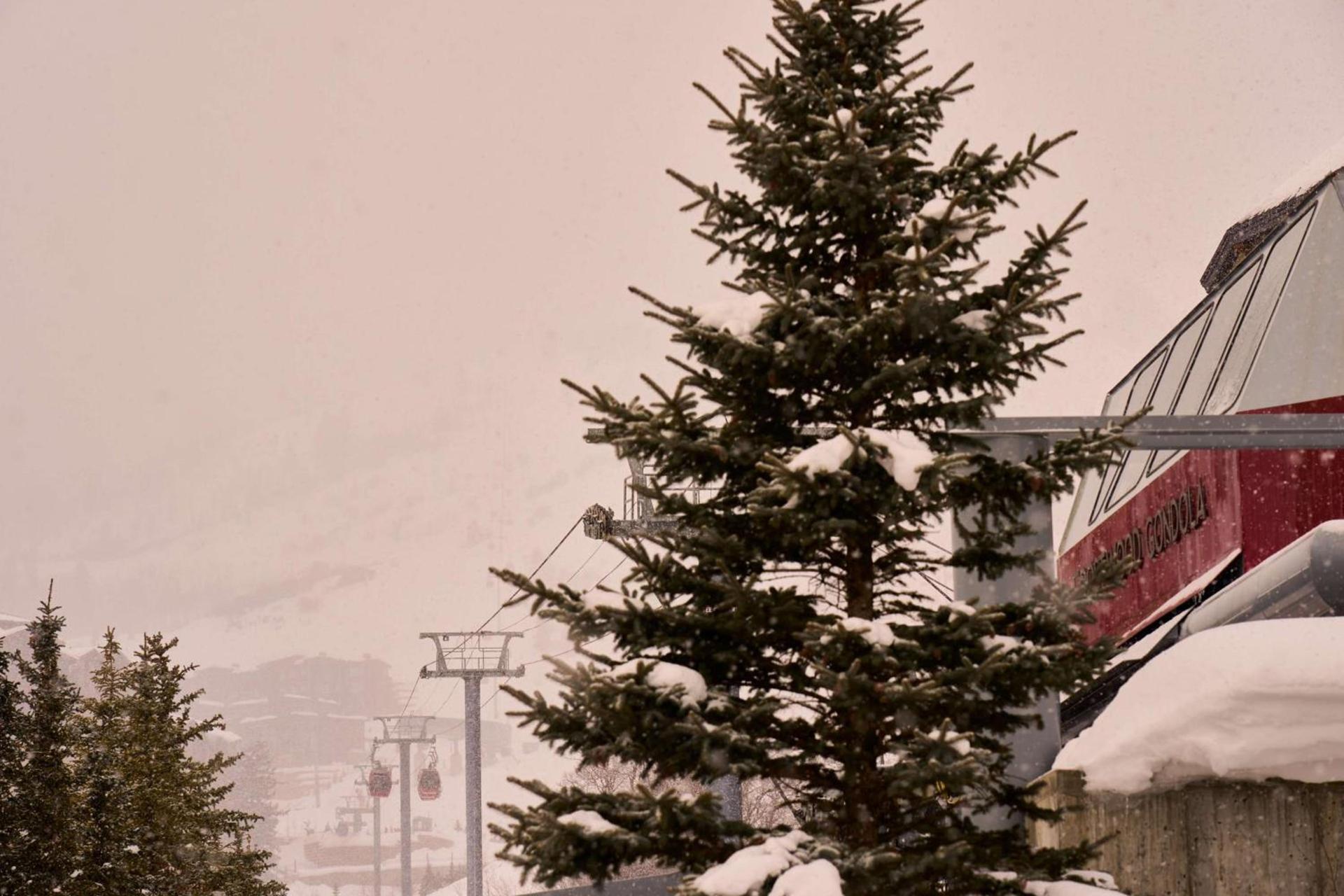 Waldorf Astoria Park City photo 5