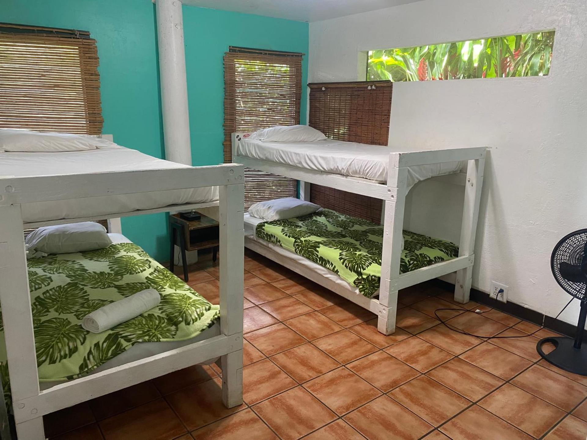 Backpackers Vacation Inn and Plantation Village photo 4