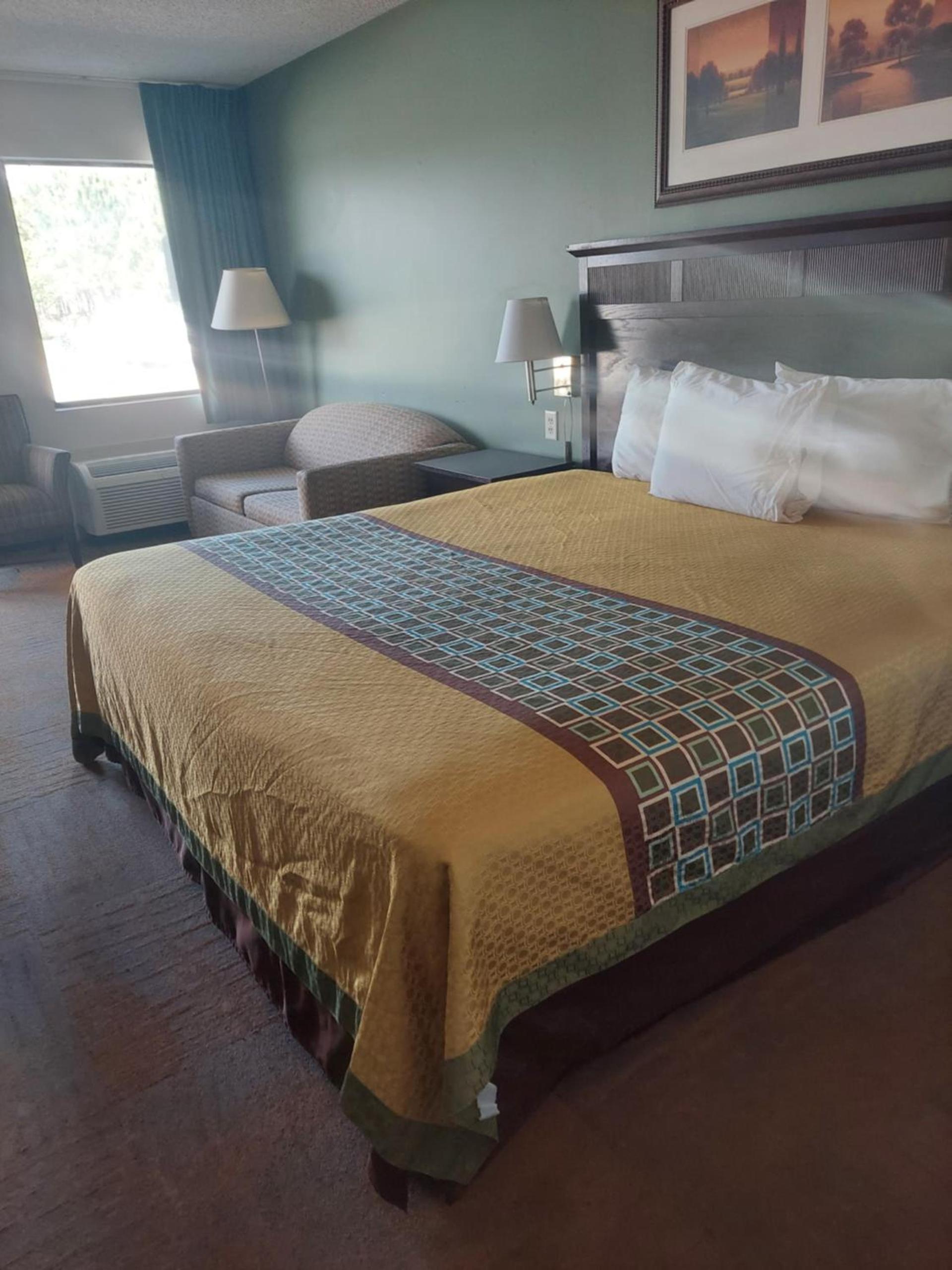 Shelaine Inn photo 6
