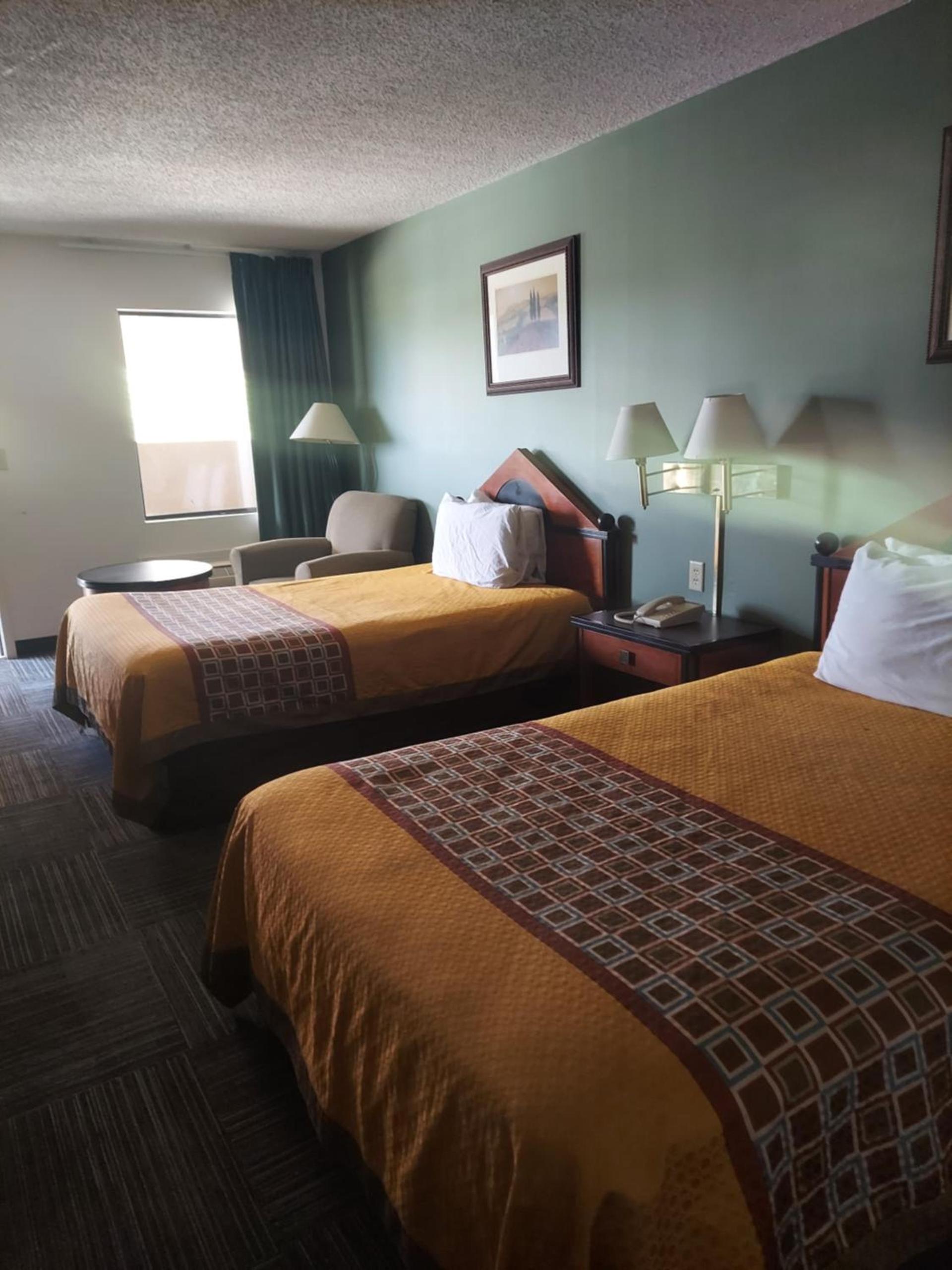 Shelaine Inn photo 7