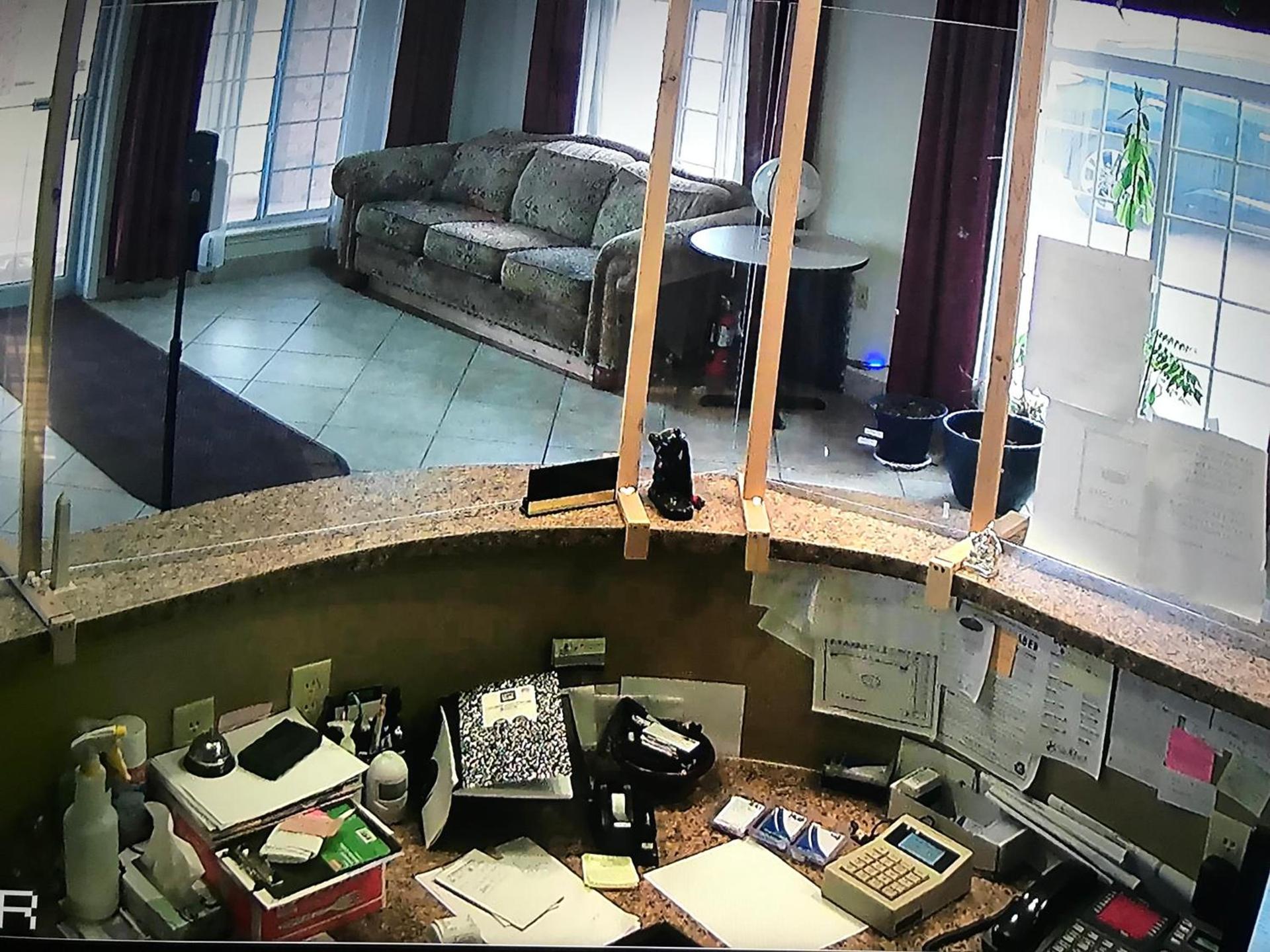 Stamford INN photo 6