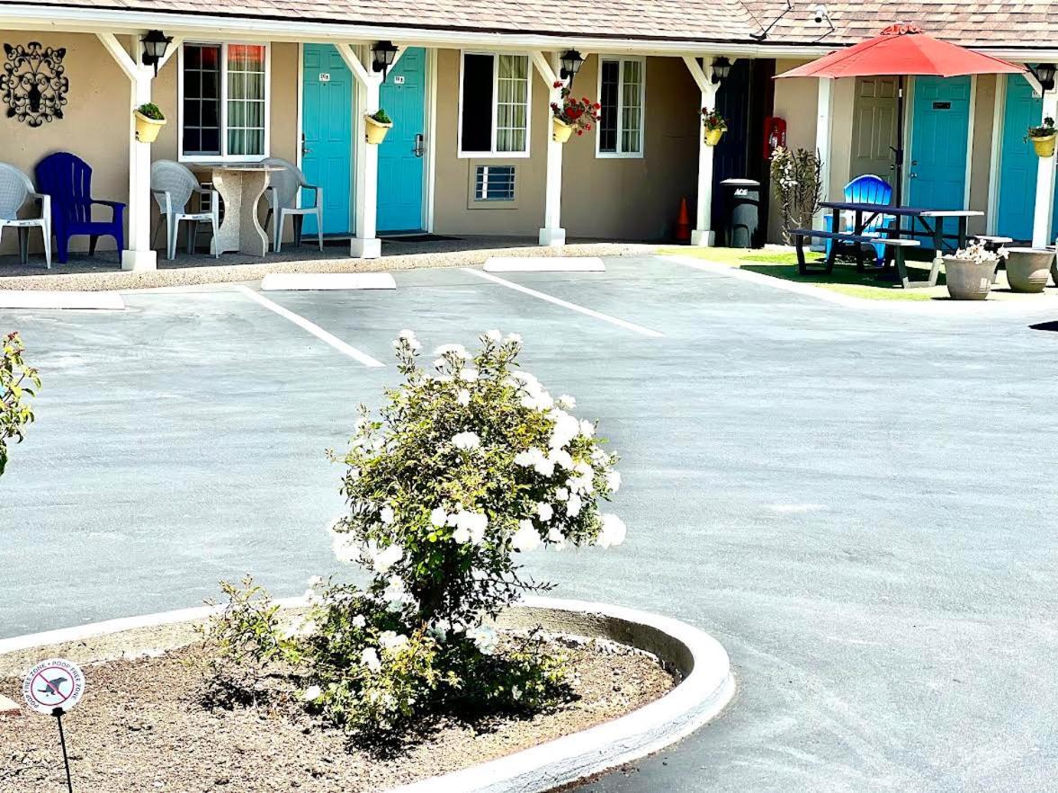 Central Coast Inn photo 59