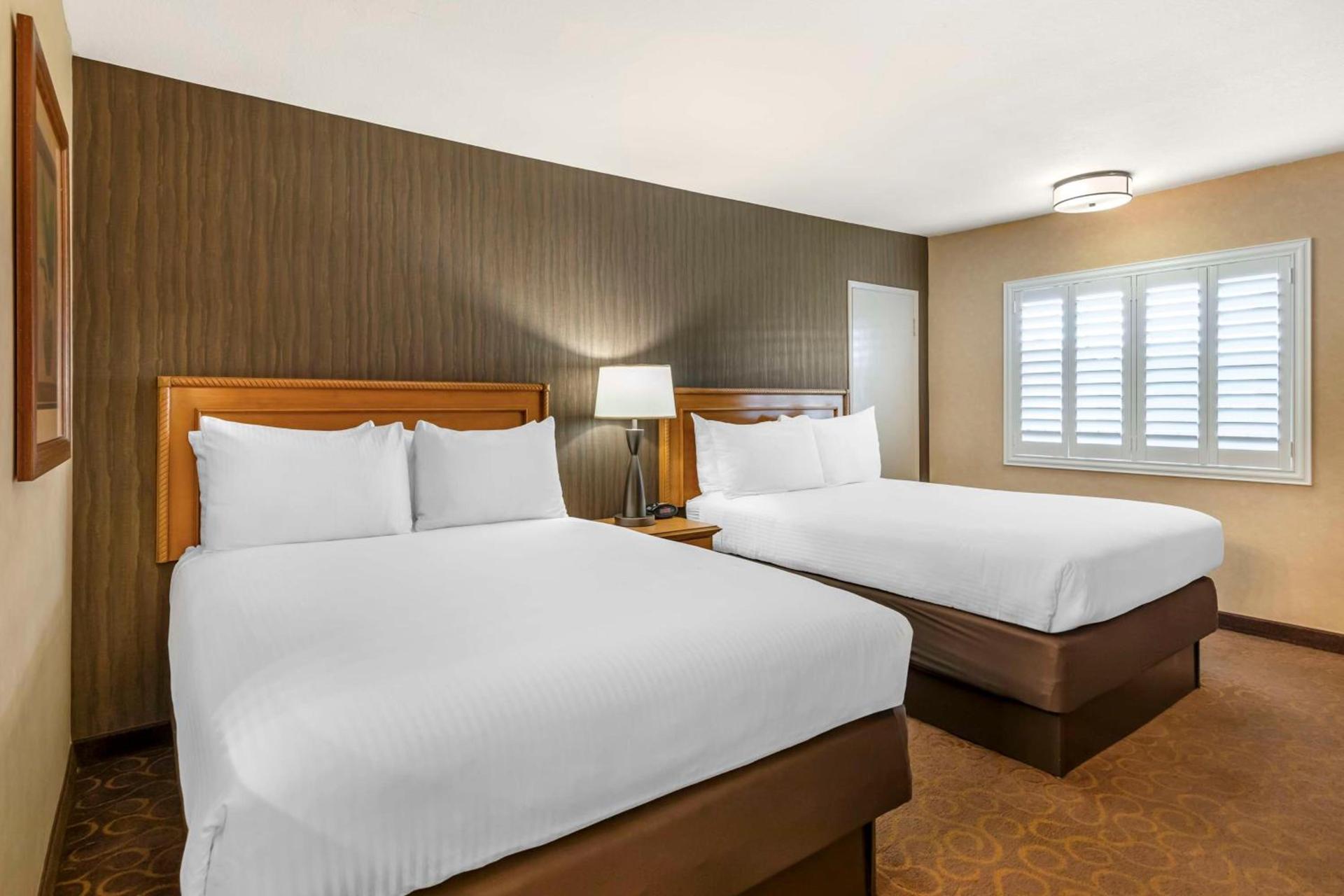 Best Western Plus Pavilions photo 12