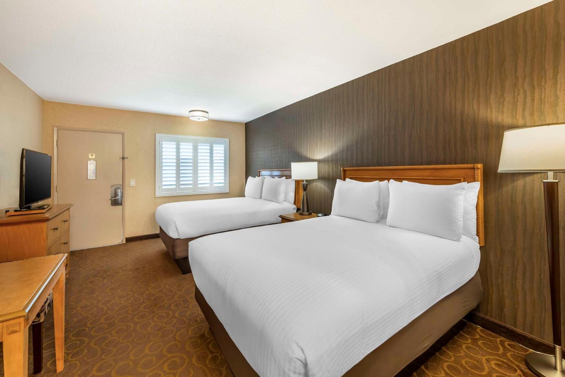 Best Western Plus Pavilions photo 16