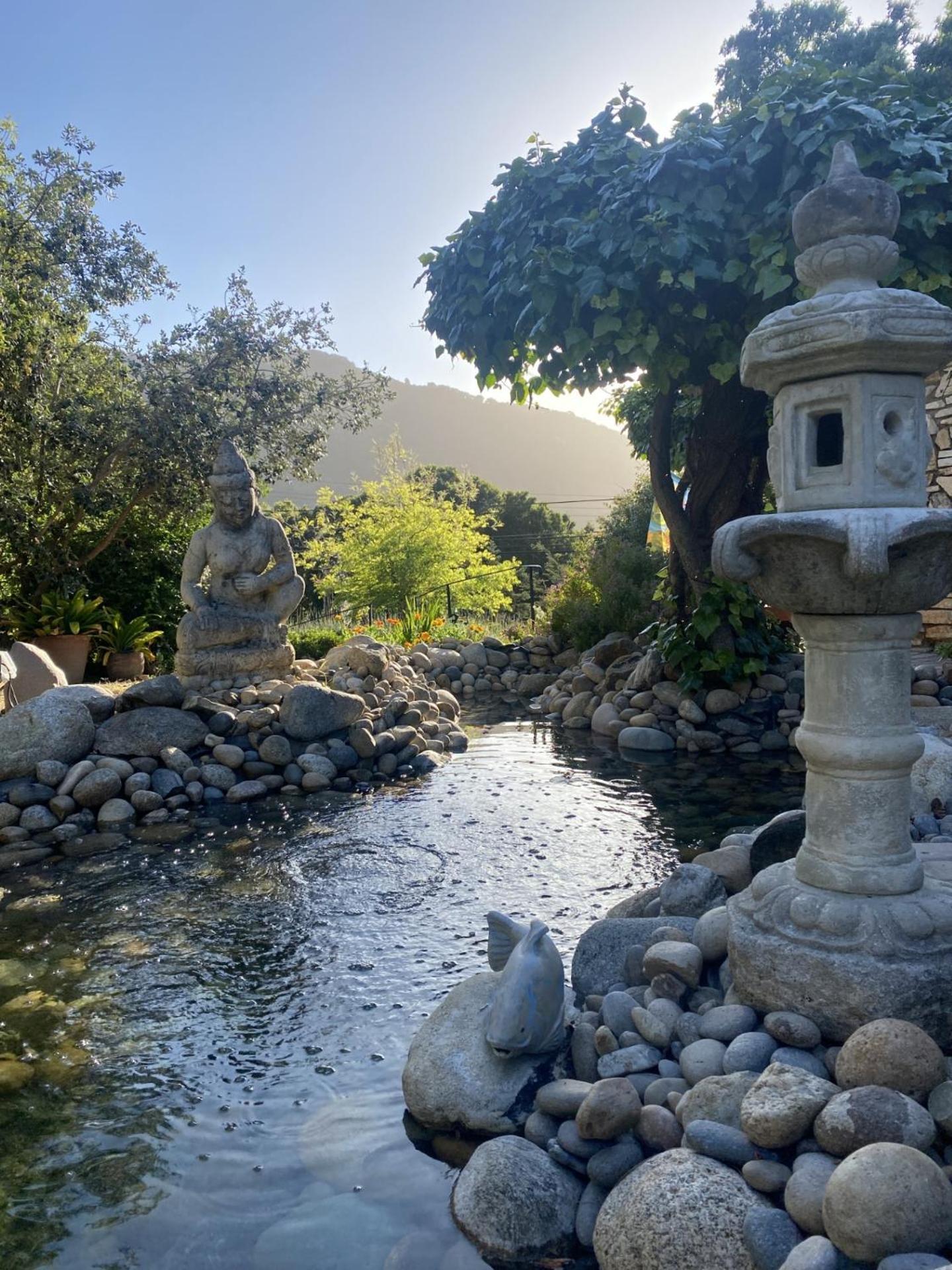 Carmel Valley Lodge photo 40
