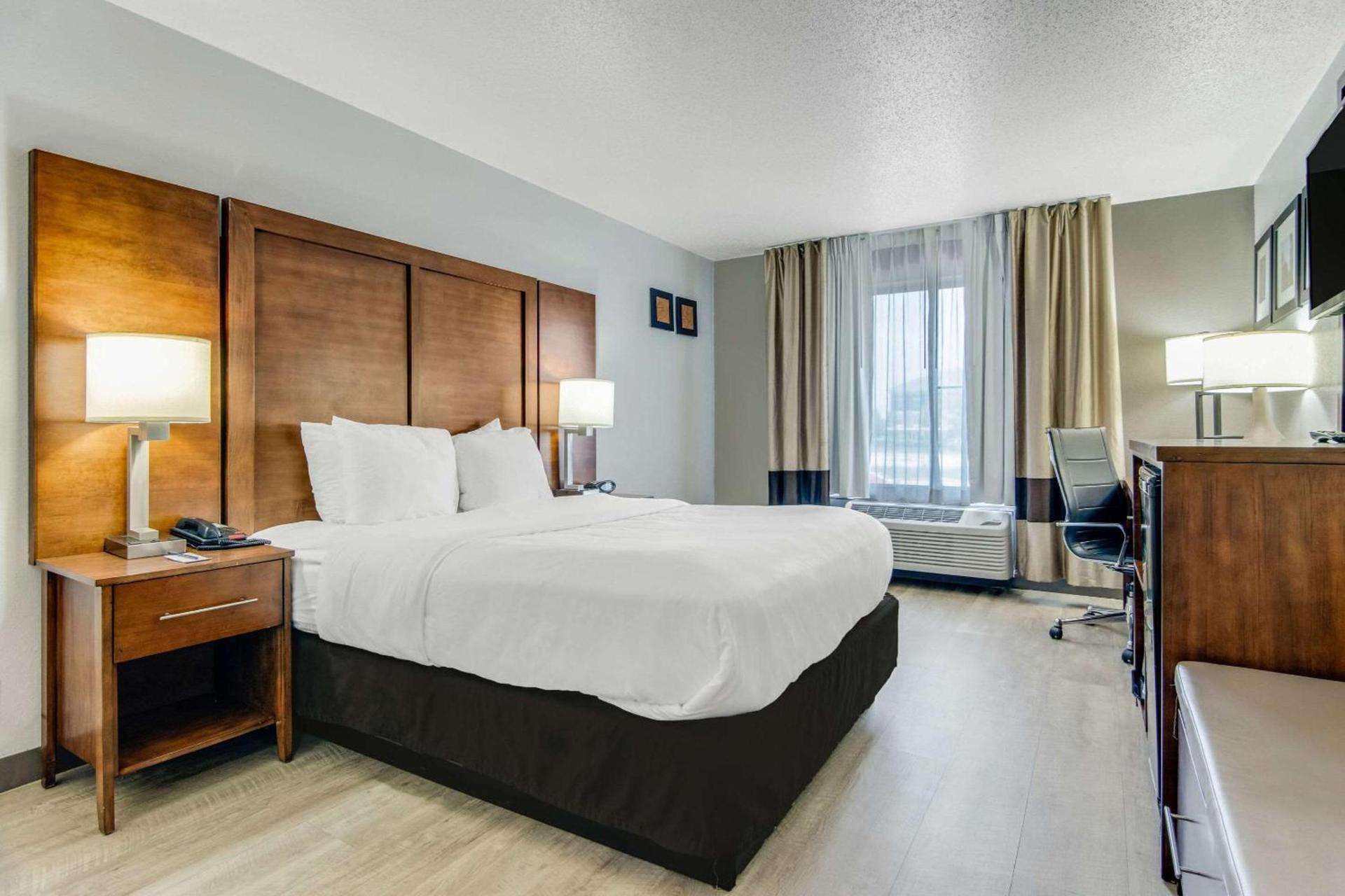 Comfort Suites near I-80 and I-94 photo 9