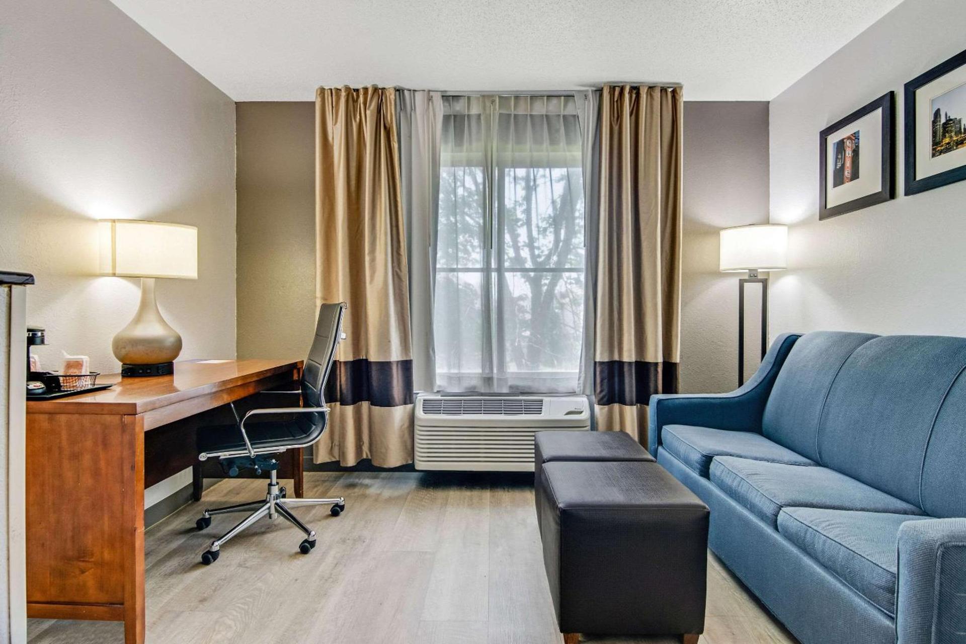 Comfort Suites near I-80 and I-94 photo 26