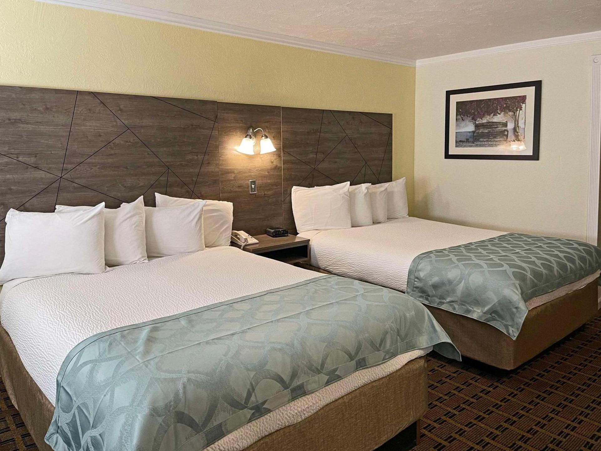 The Inn at Baechtel Creek photo 21