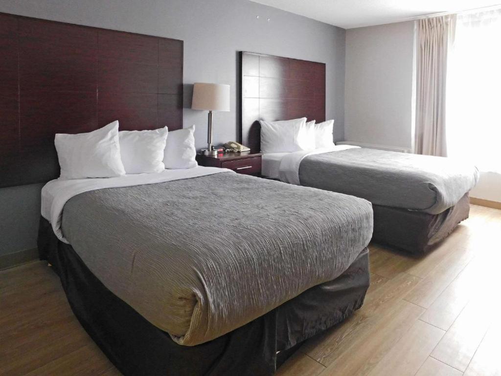 Quality Inn Colchester - Burlington photo 16