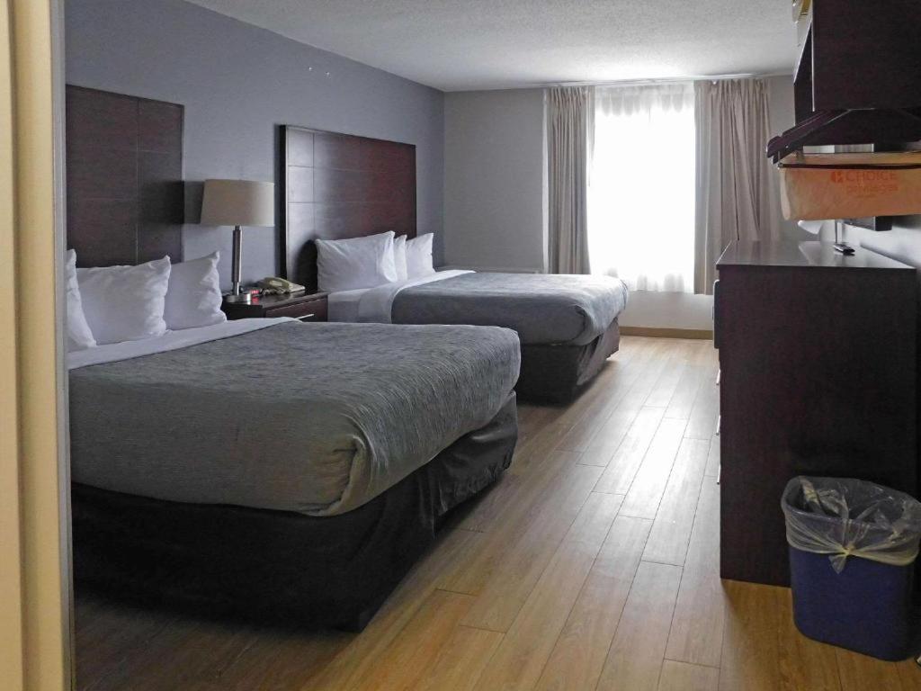 Quality Inn Colchester - Burlington photo 19