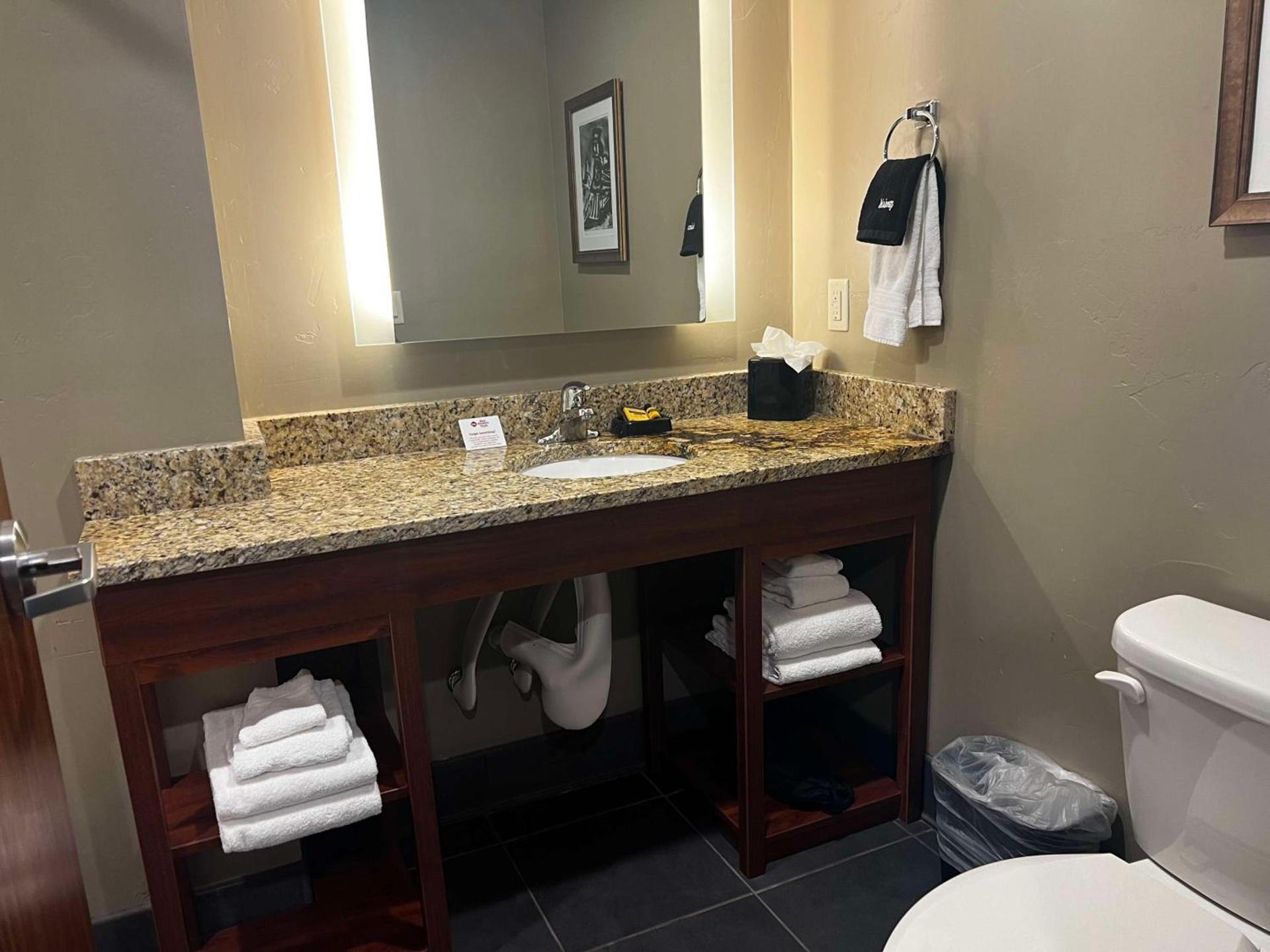 Best Western Plus Landmark Hotel photo 41
