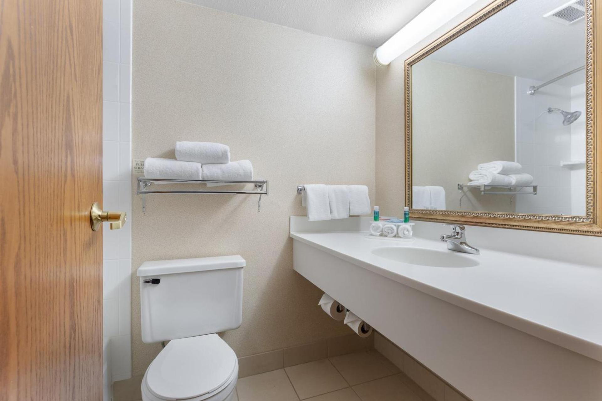 Holiday Inn Express Chicago-Downers Grove by IHG photo 42