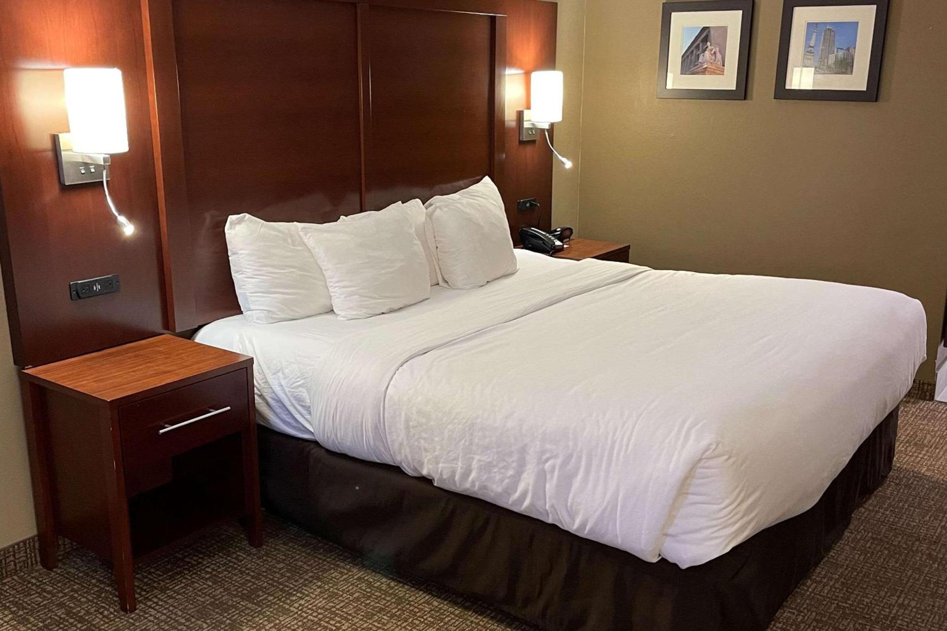 Comfort Inn Indianapolis South I-65 photo 4