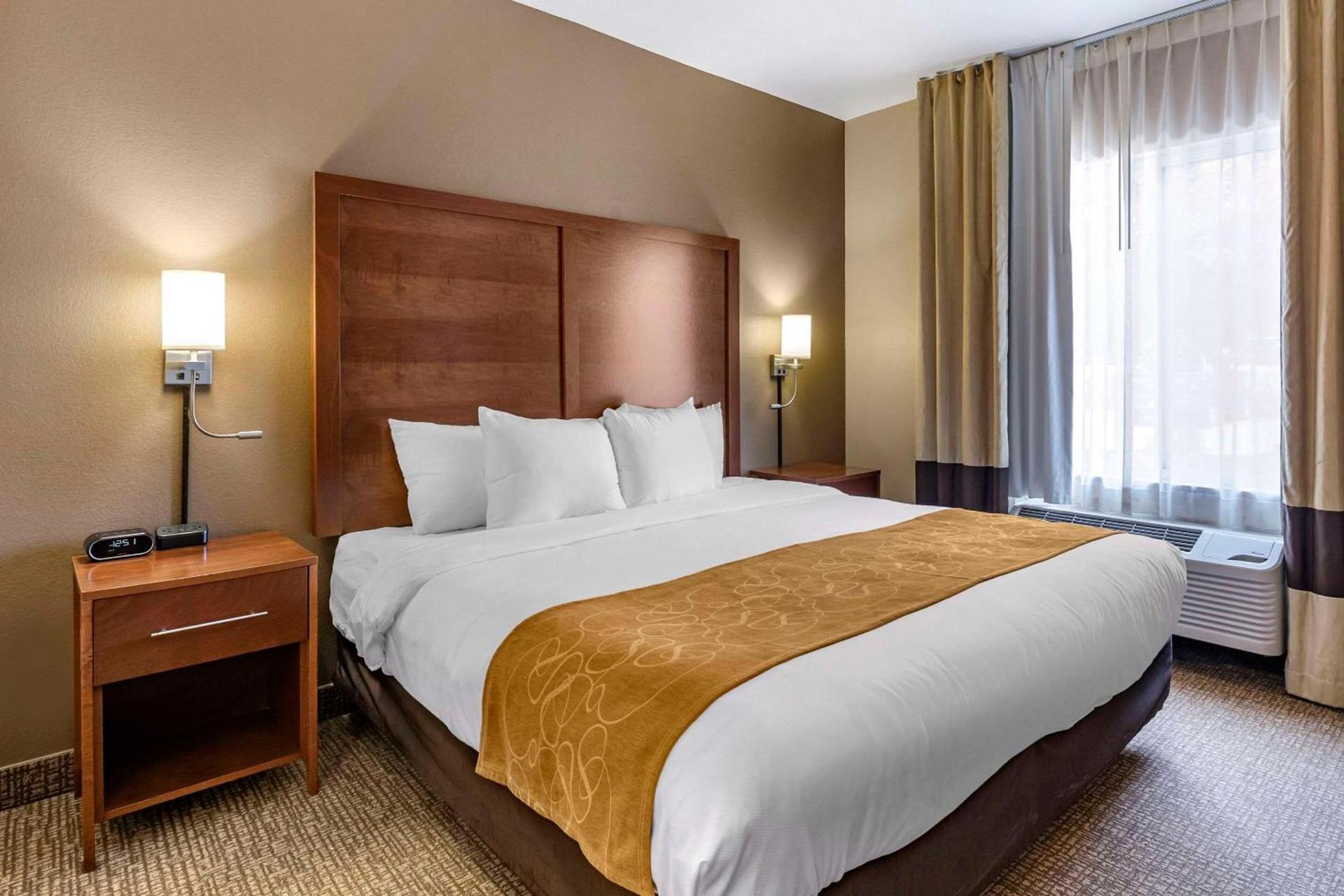 Comfort Suites Coralville I-80 photo 10