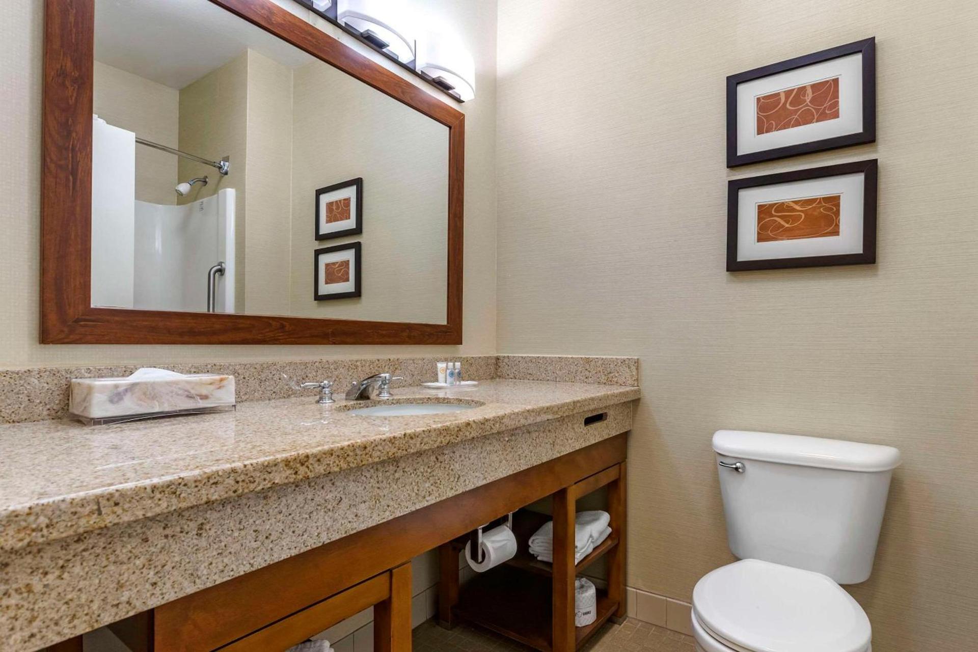 Comfort Suites Coralville I-80 photo 20