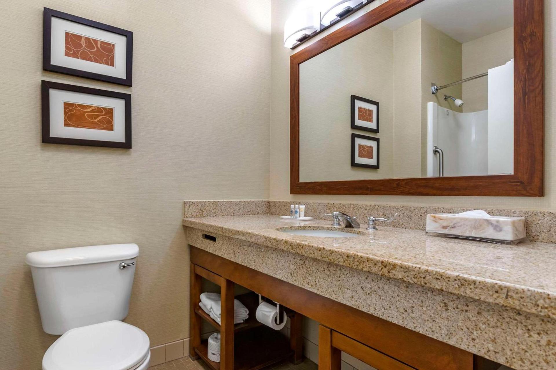 Comfort Suites Coralville I-80 photo 27