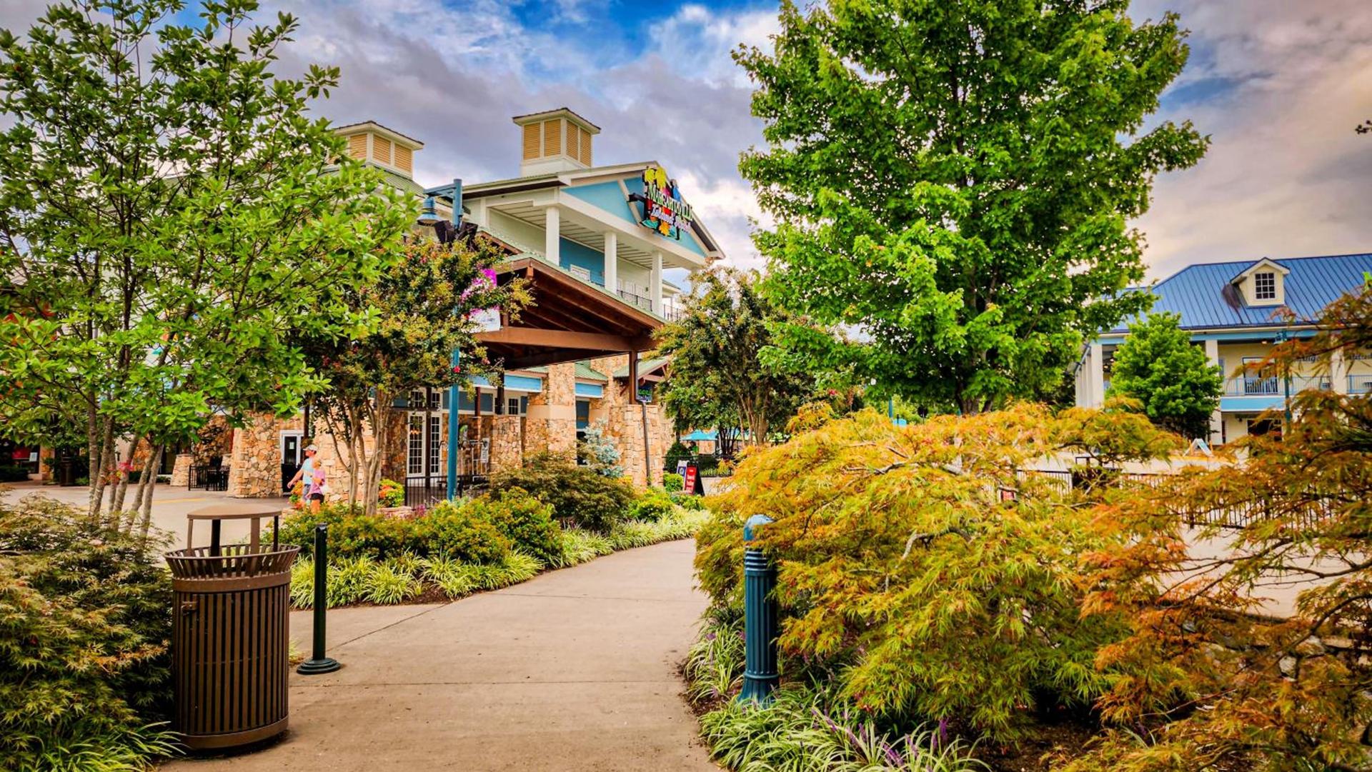 Margaritaville Island Hotel photo 51