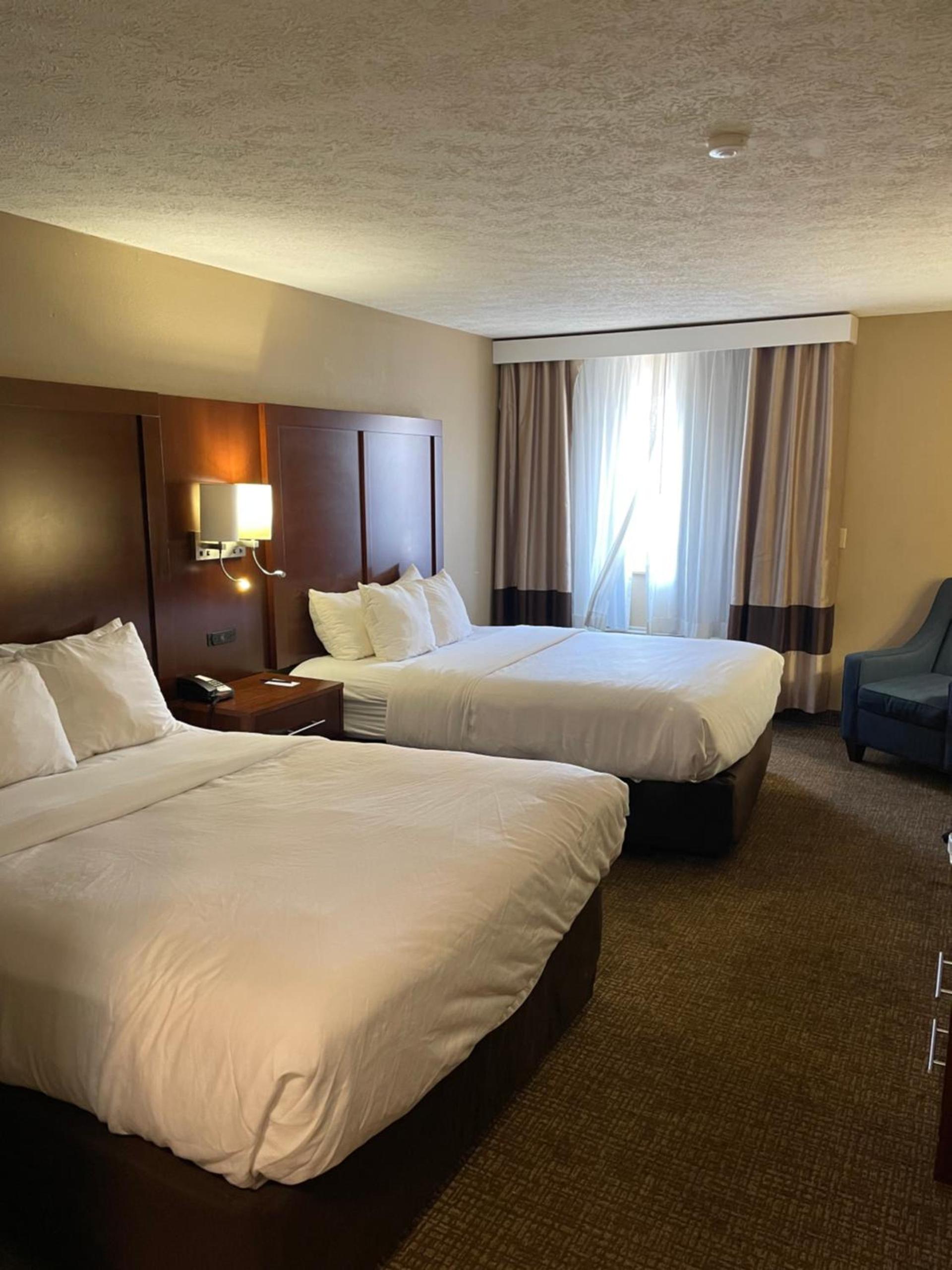 Comfort Inn Indianapolis South I-65 photo 19
