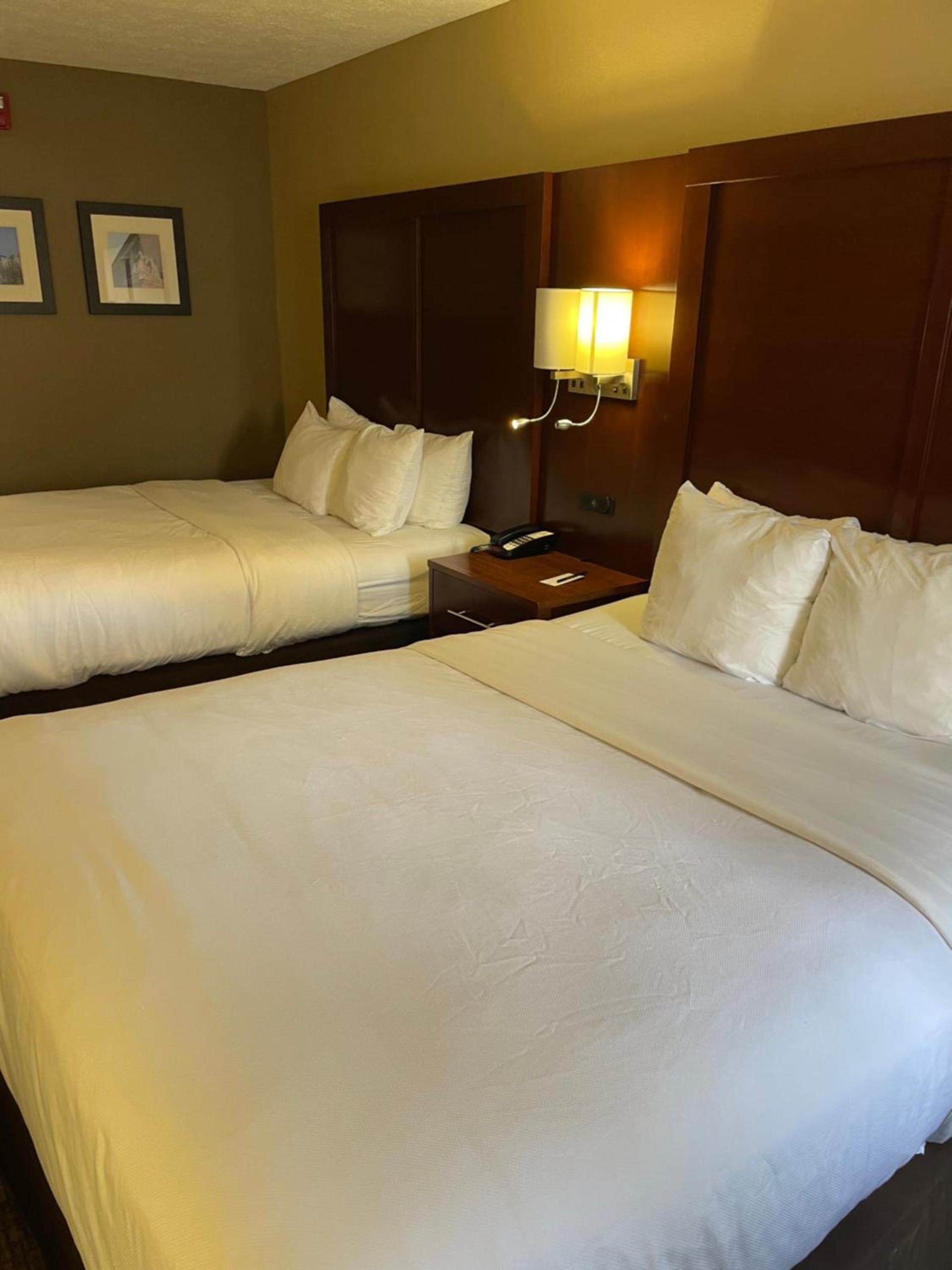 Comfort Inn Indianapolis South I-65 photo 21