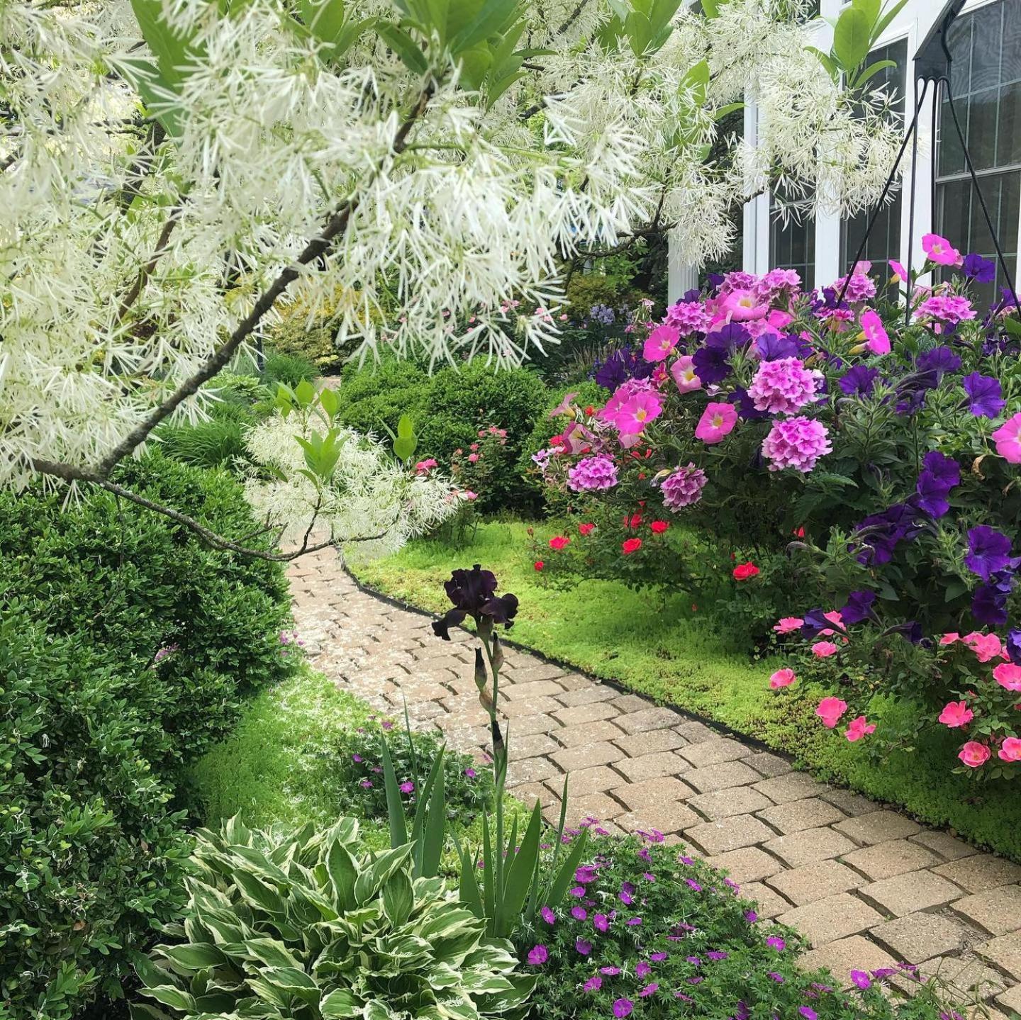 The Mount Vernon Inn photo 17