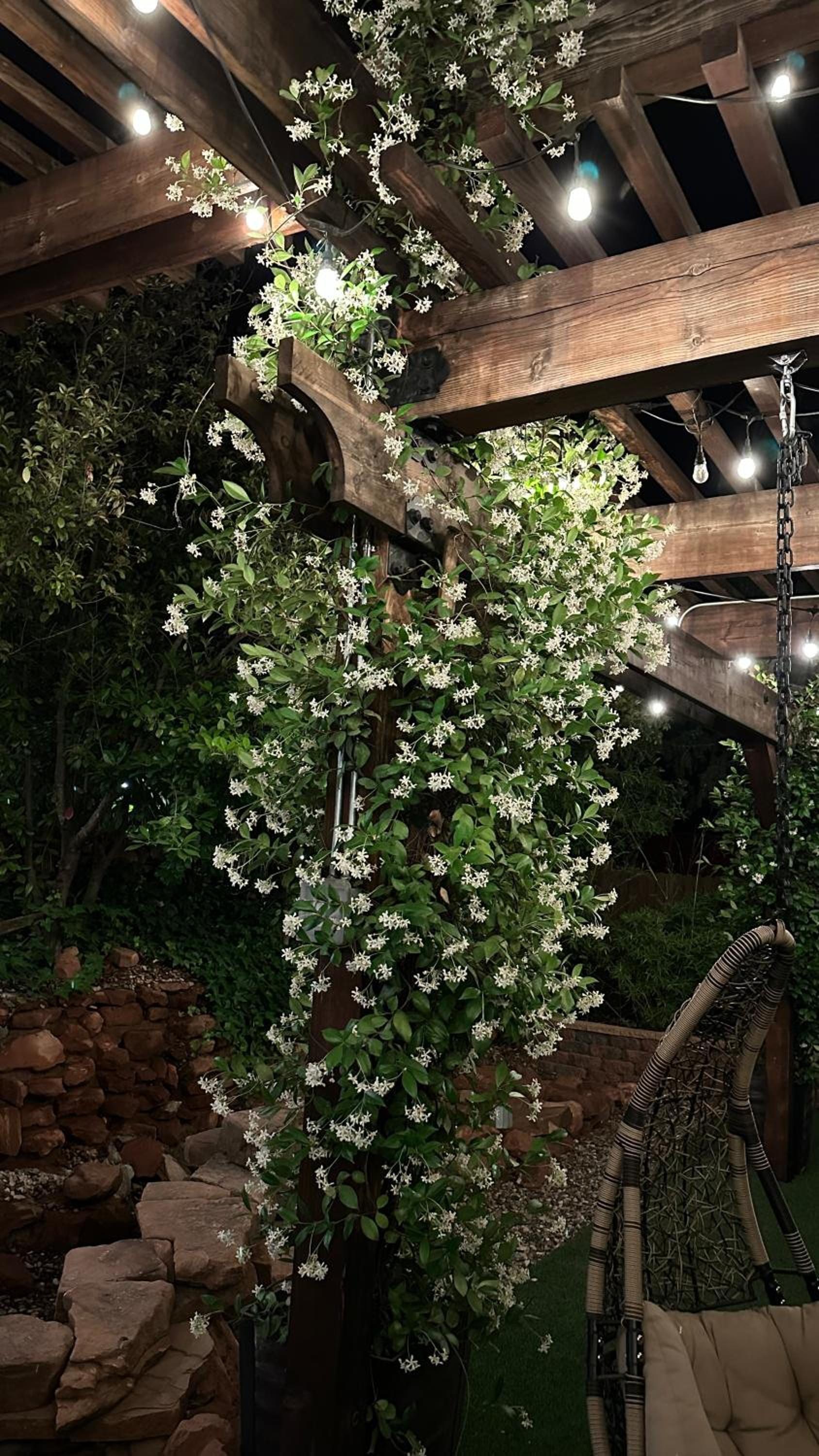 Lantern Light Inn - Romantic Getaway photo 58