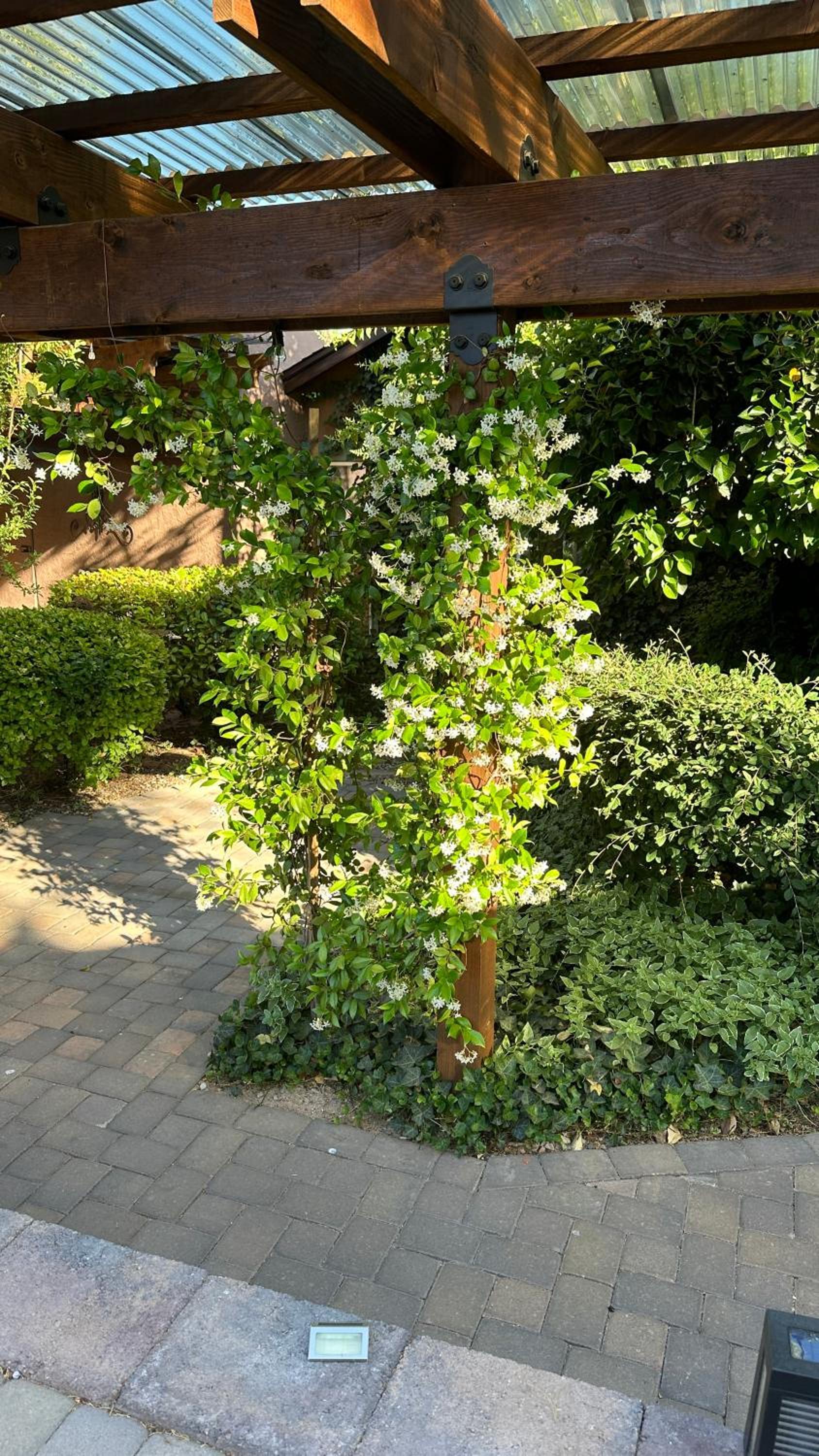 Lantern Light Inn - Romantic Getaway photo 38