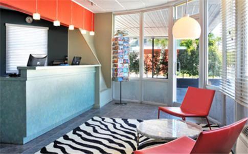 Blue Marlin Motel photo 3