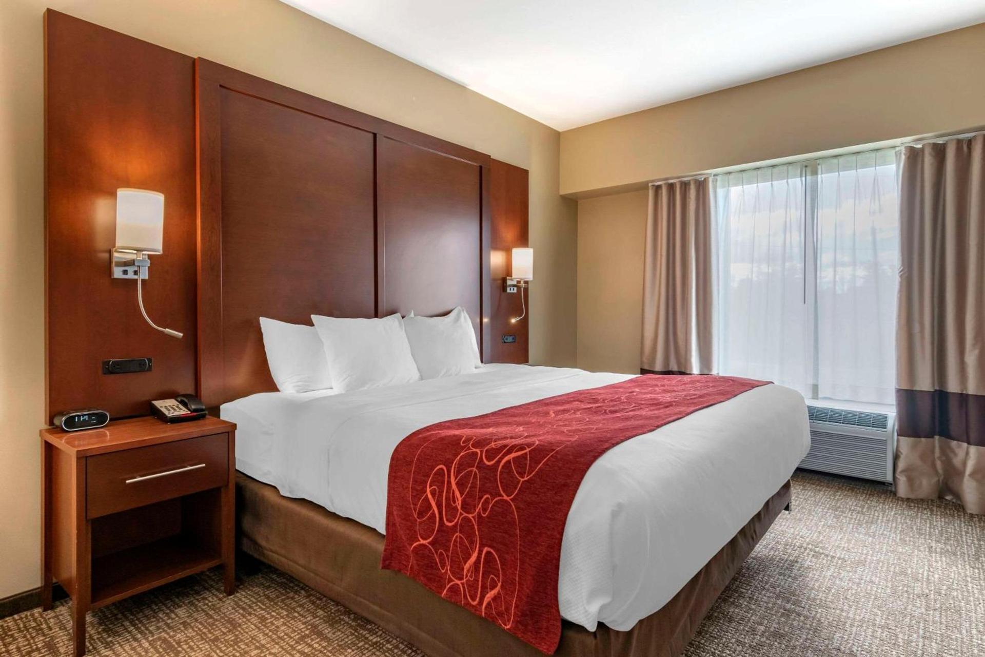 Comfort Suites Manheim - Lancaster photo 6