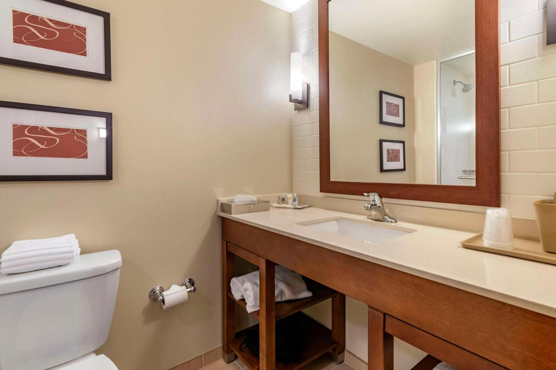 Comfort Suites Manheim - Lancaster photo 9