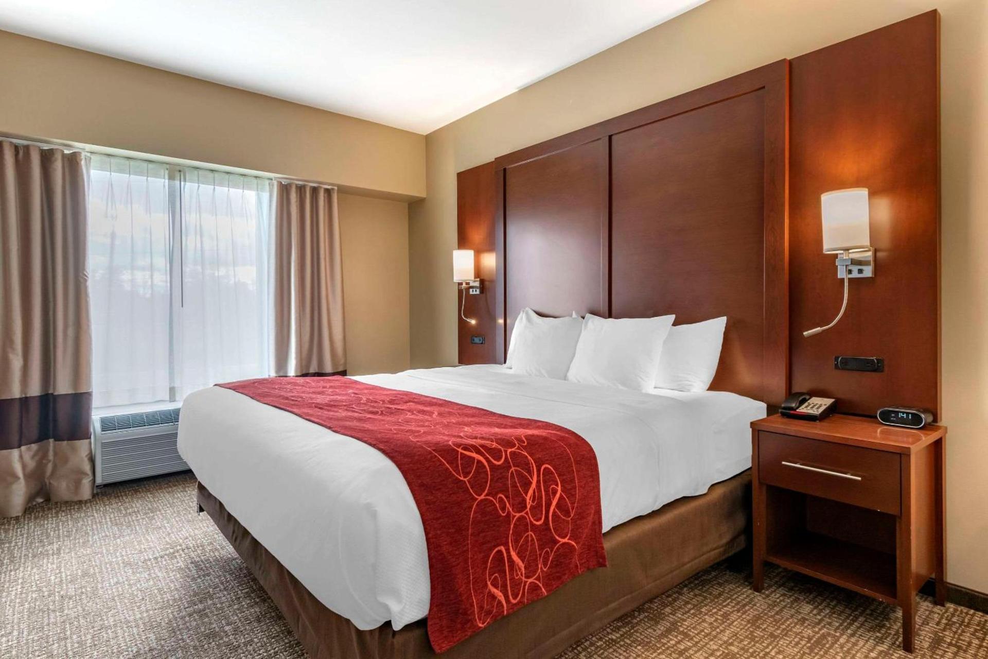 Comfort Suites Manheim - Lancaster photo 10
