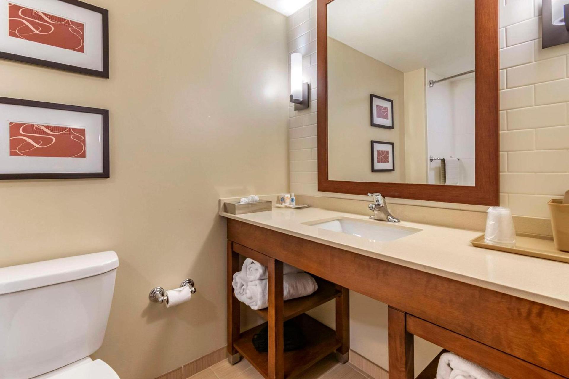 Comfort Suites Manheim - Lancaster photo 23