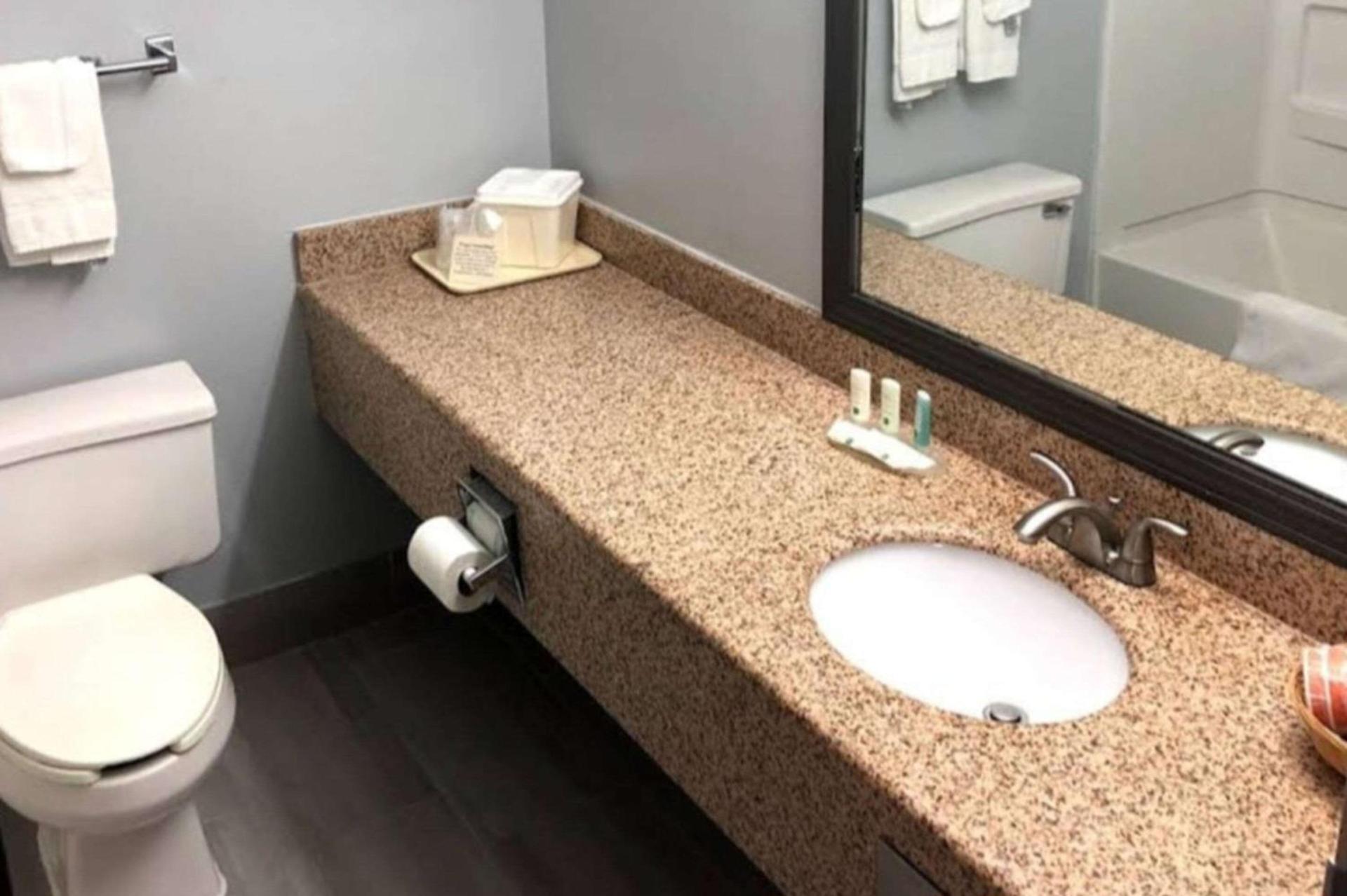 Quality Inn Dublin I-81 photo 46
