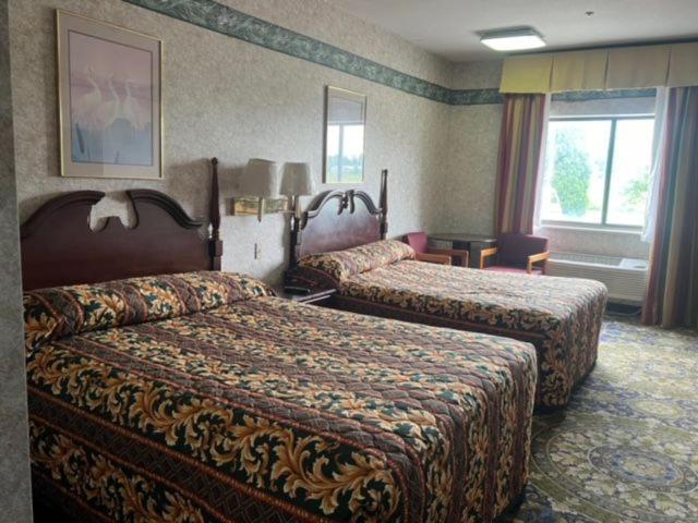 Garden Inn photo 8