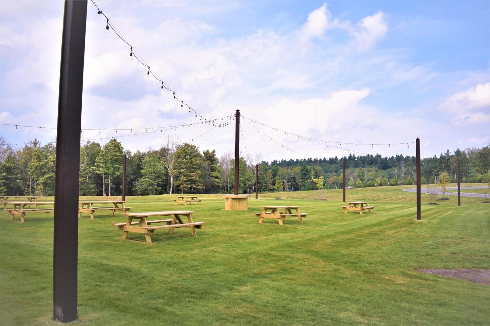 The Alder photo 15