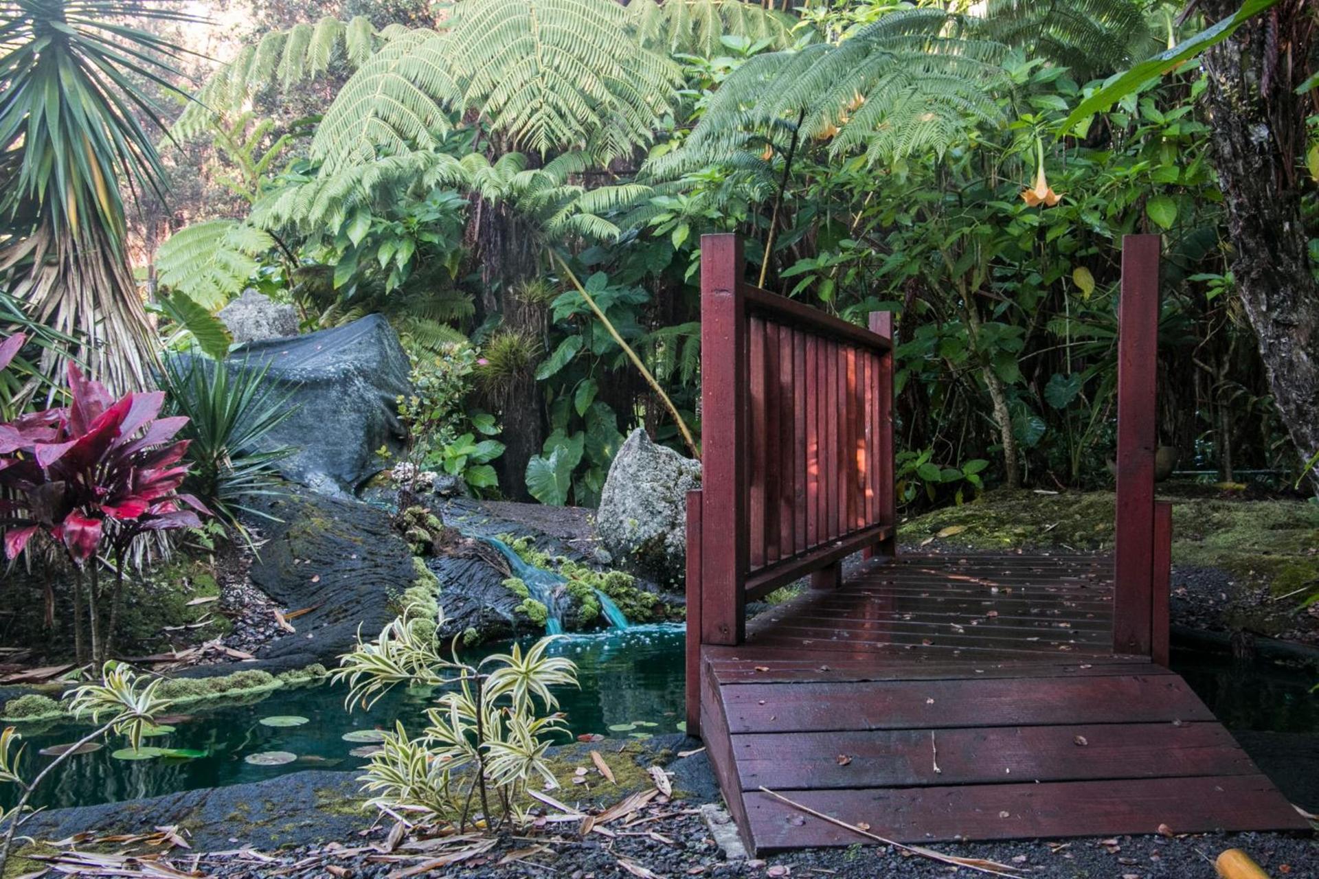 Chalet Kilauea photo 17
