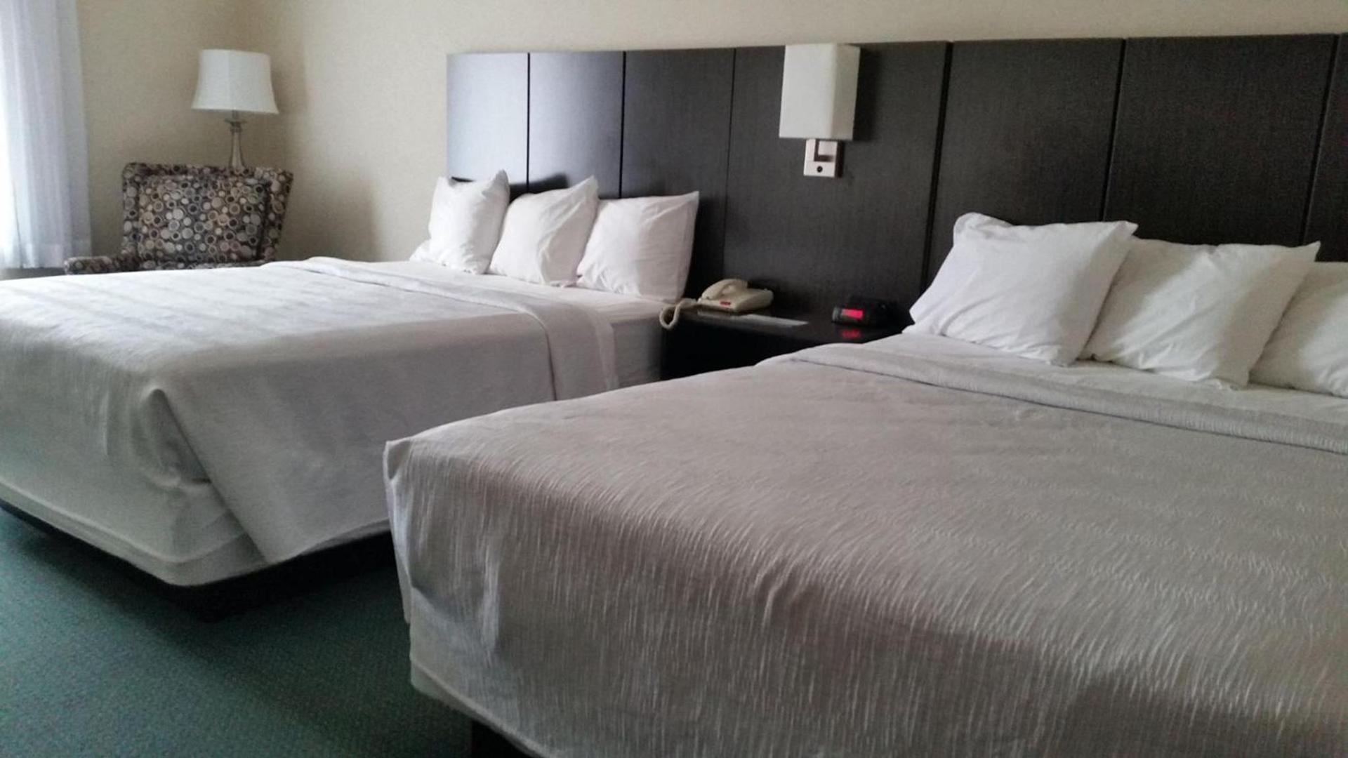 GOLD VAULT INN photo 15
