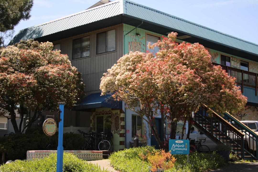 Ashland Commons Hostel photo 2