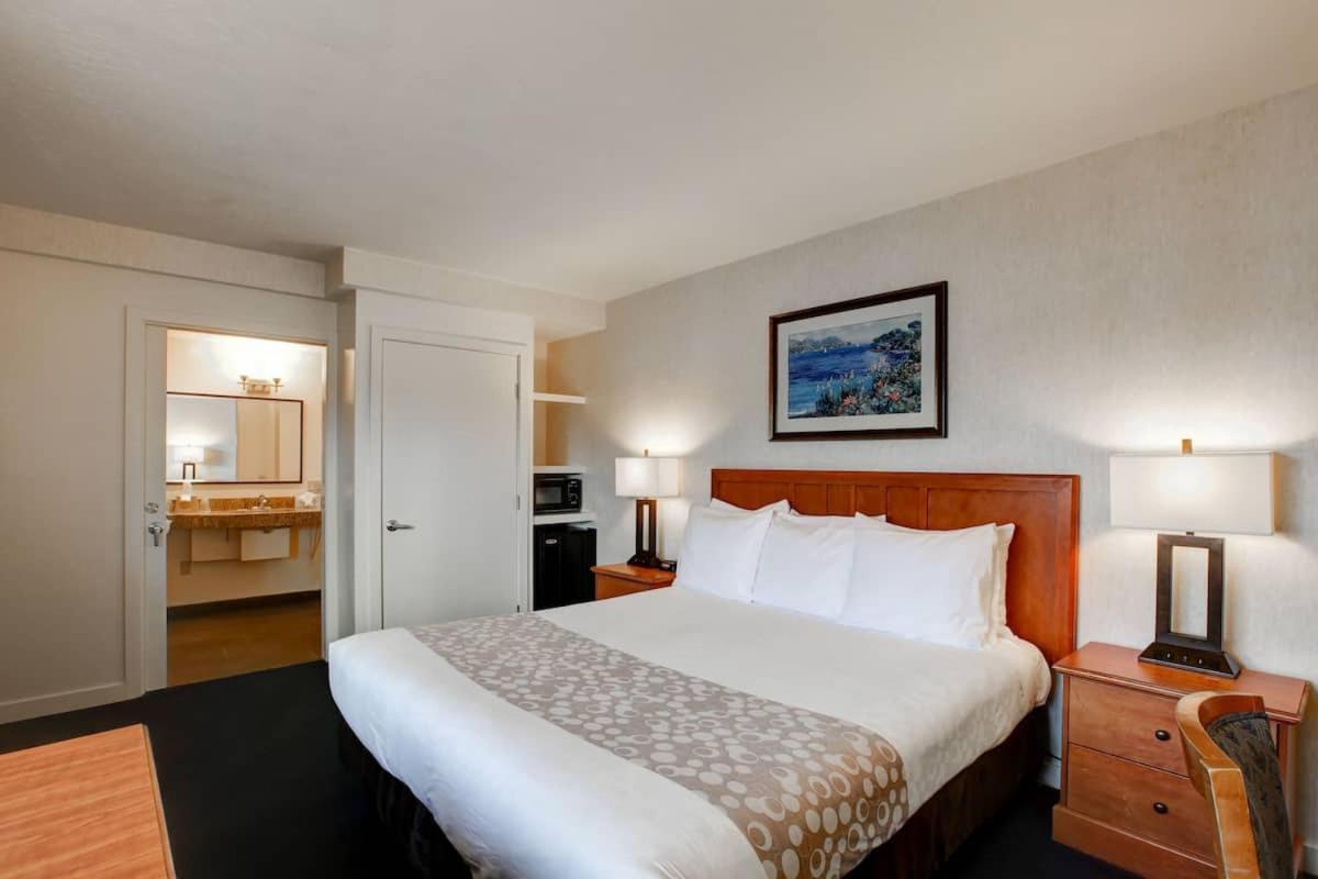 Newport Channel Inn photo 3