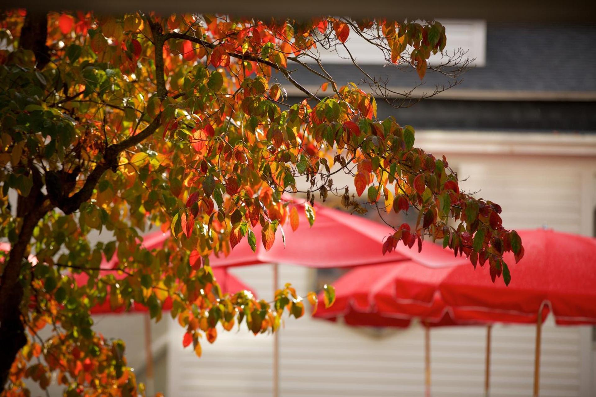 The Red Lion Inn photo 20
