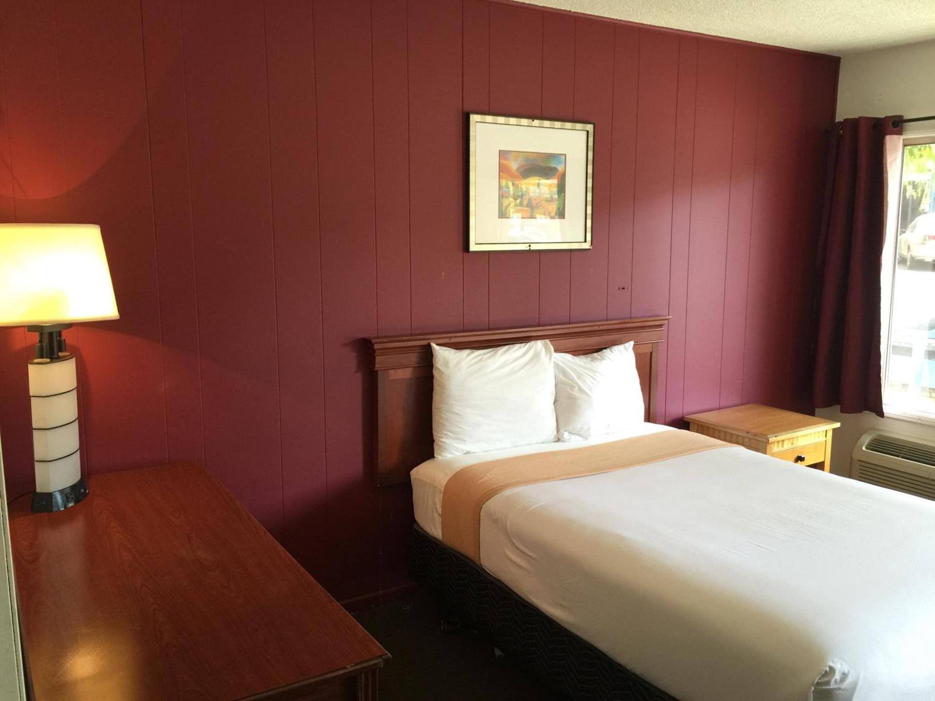 Holiday Lodge photo 17
