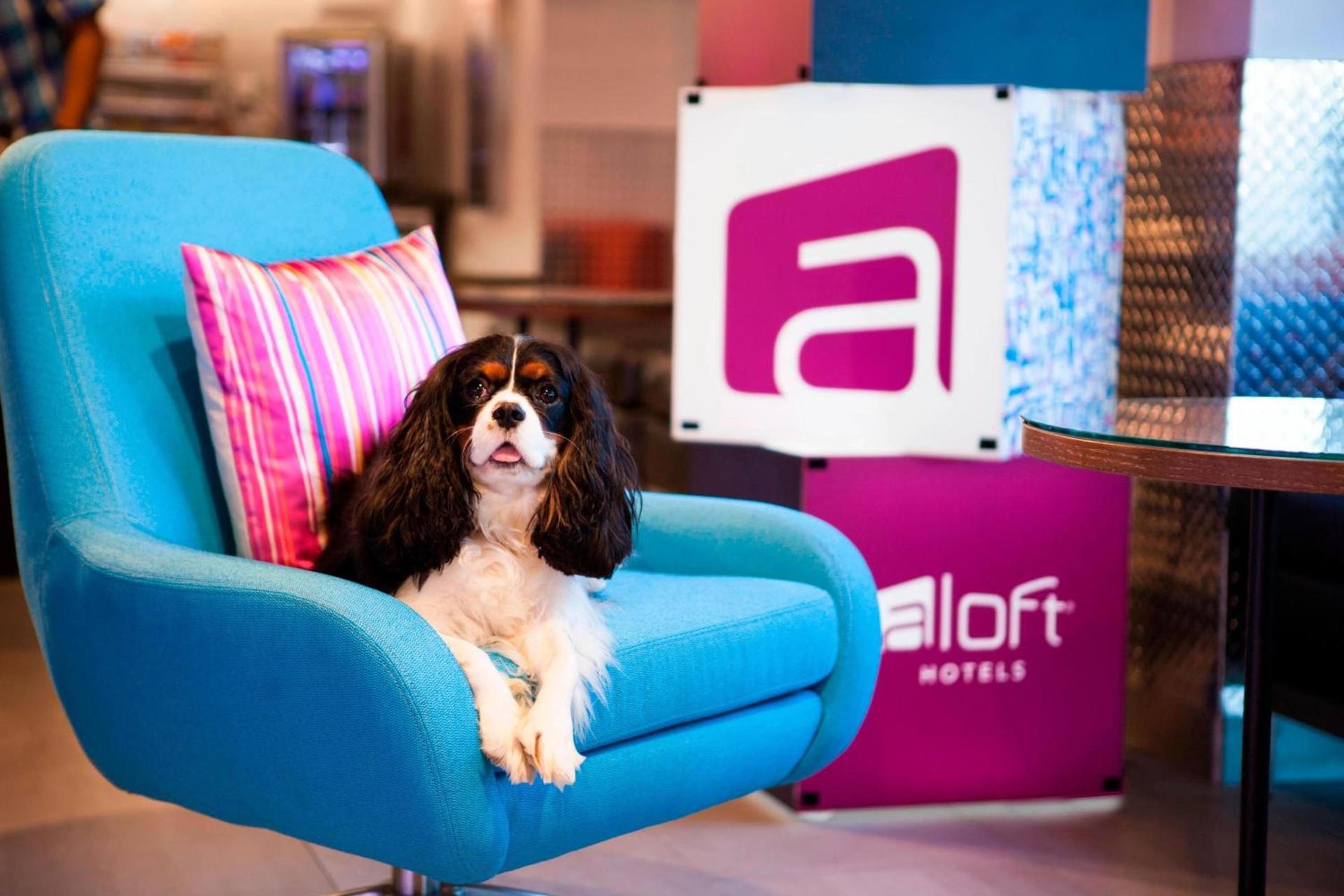 Aloft by Marriott Miami Dadeland photo 11