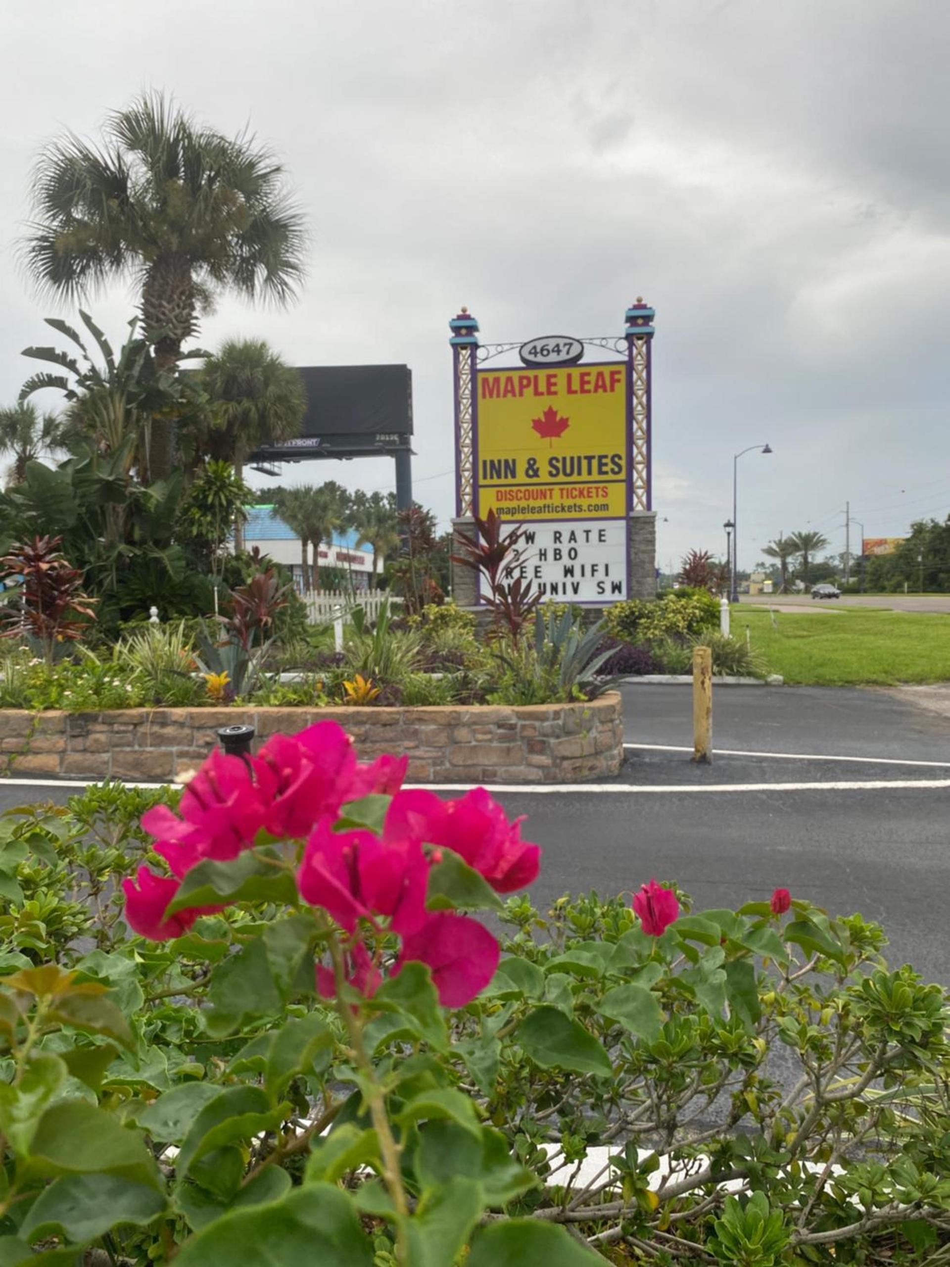 Maple Leaf Inn & Suites photo 23