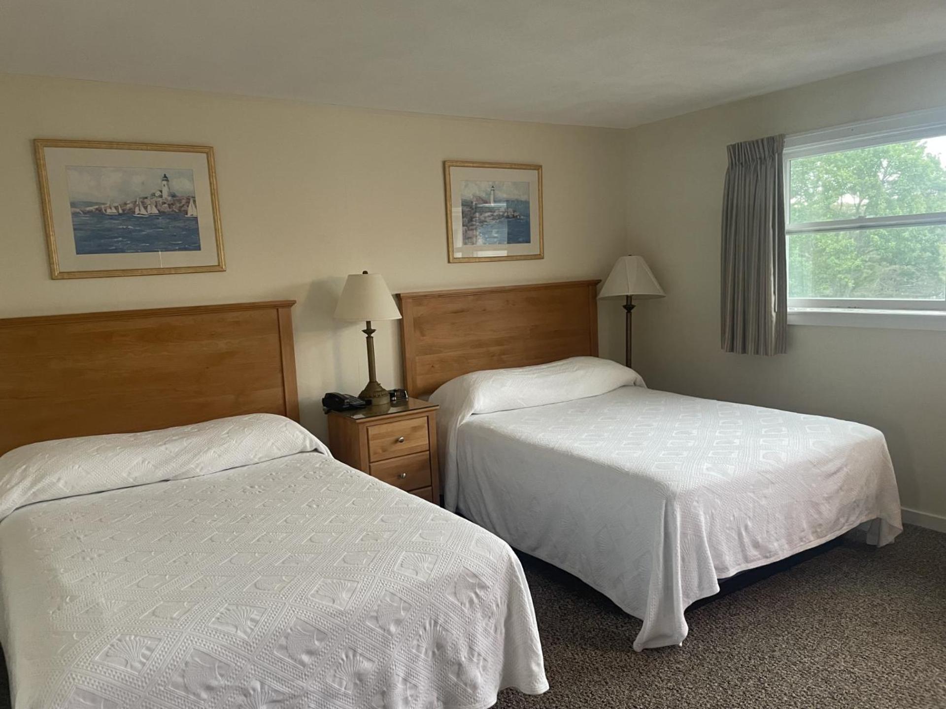 Sea Lion Motel photo 4