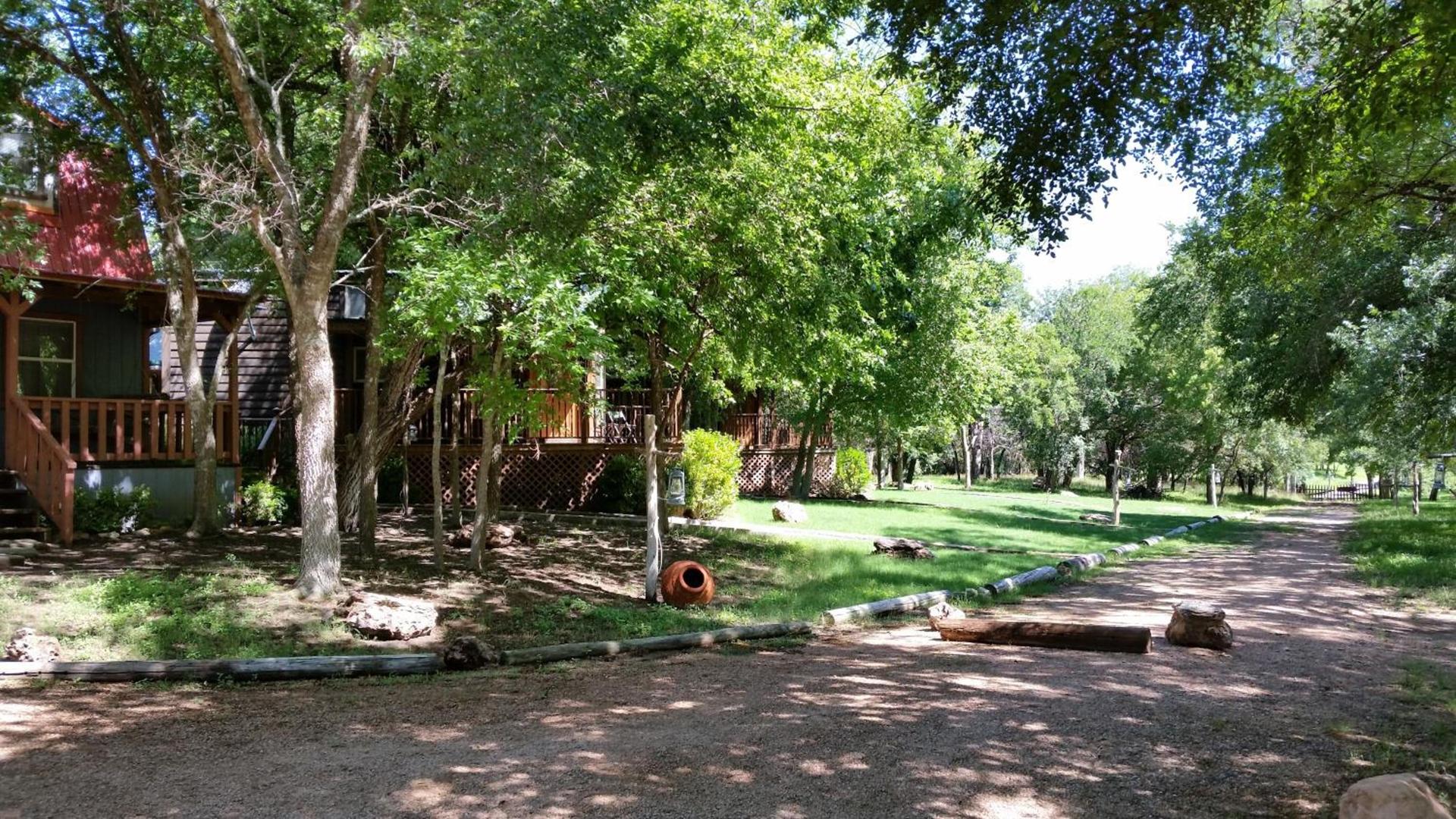 Olive Cabin photo 12